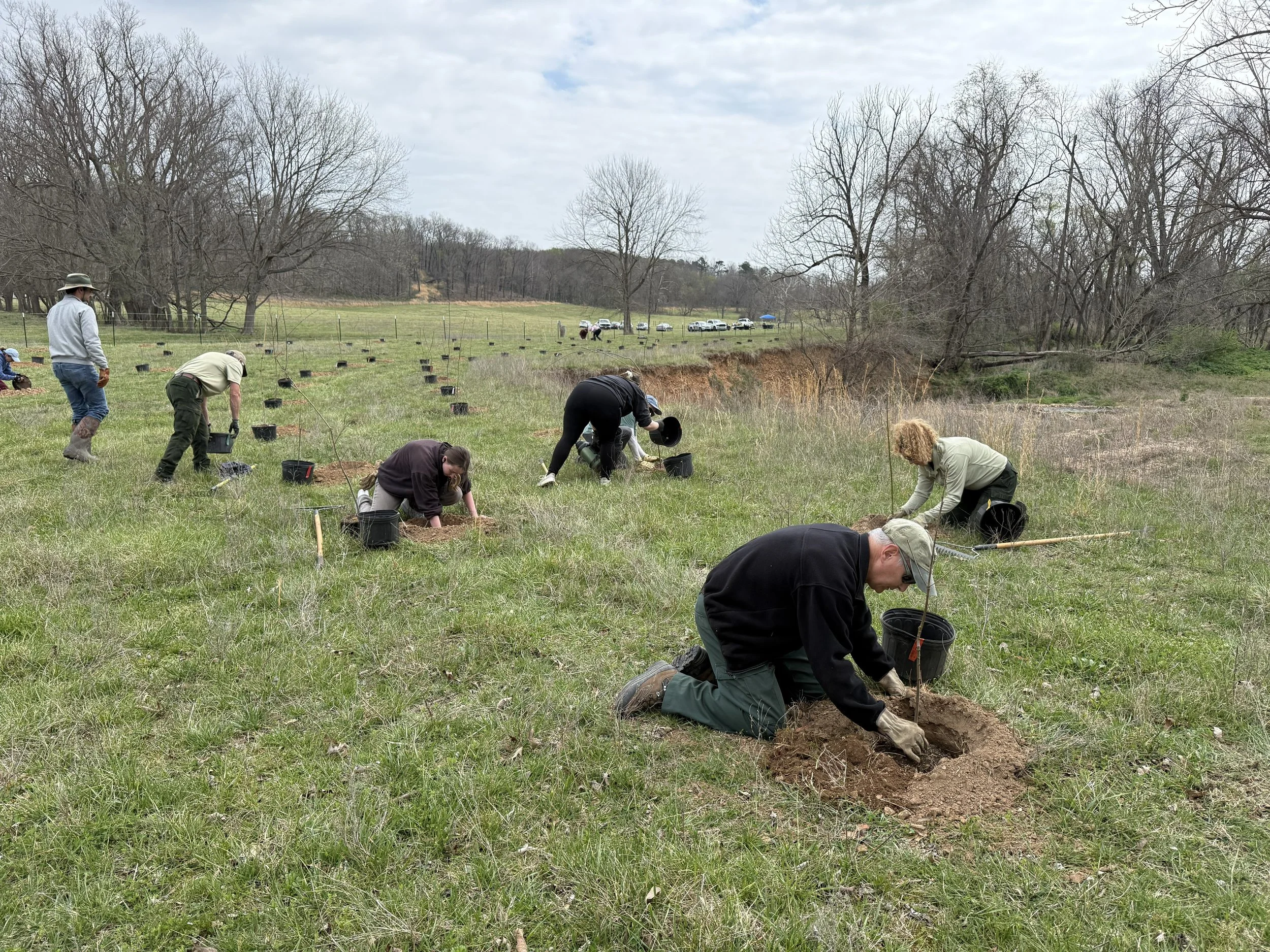 Wildcat Creek 2.jpg