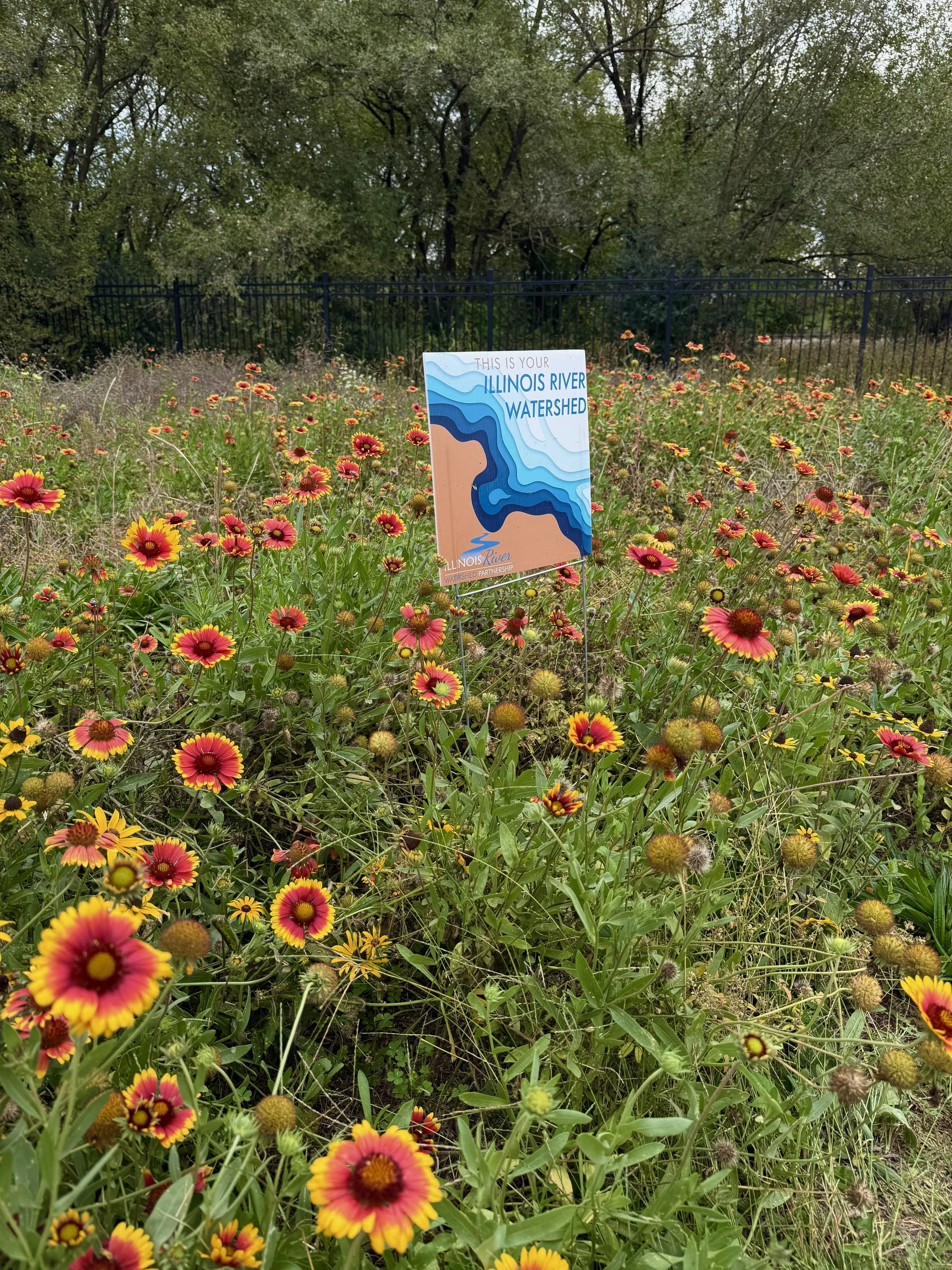 Spring Creek Volunteer Day