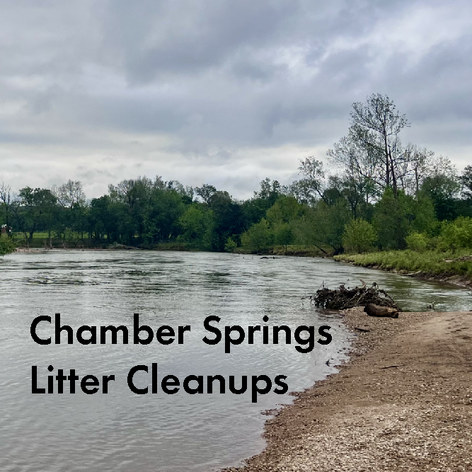 Chamber Springs Litter Cleanup