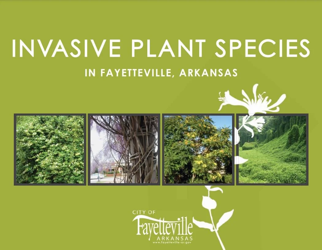 Invasive Plants in the Illinois River Watershed — Illinois River ...
