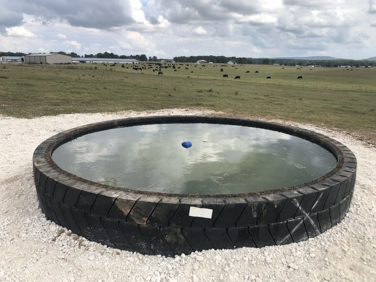 Tire tank to provide a water source to grazing livestock.