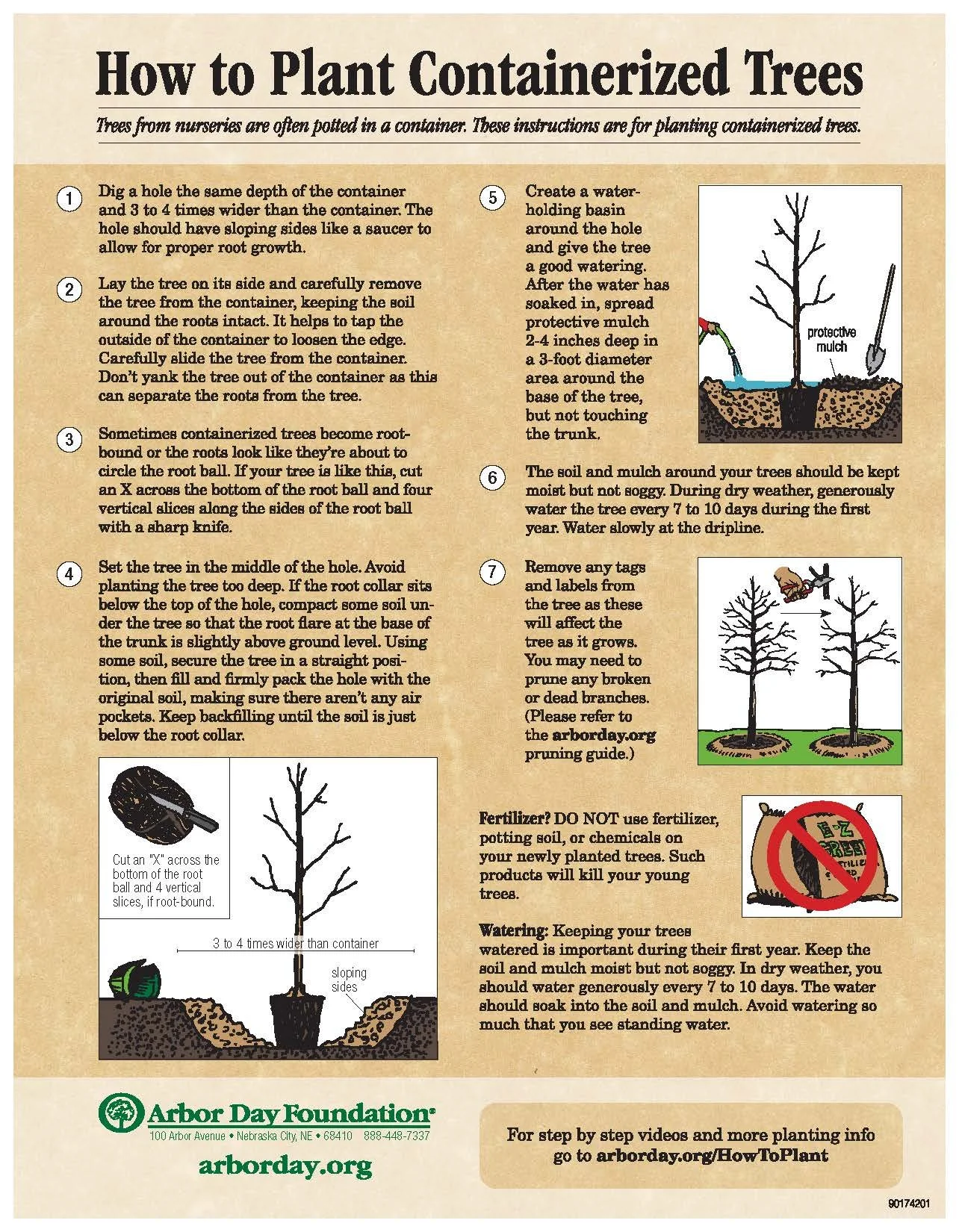 Tree Planting Guide — Illinois River Watershed Partnership
