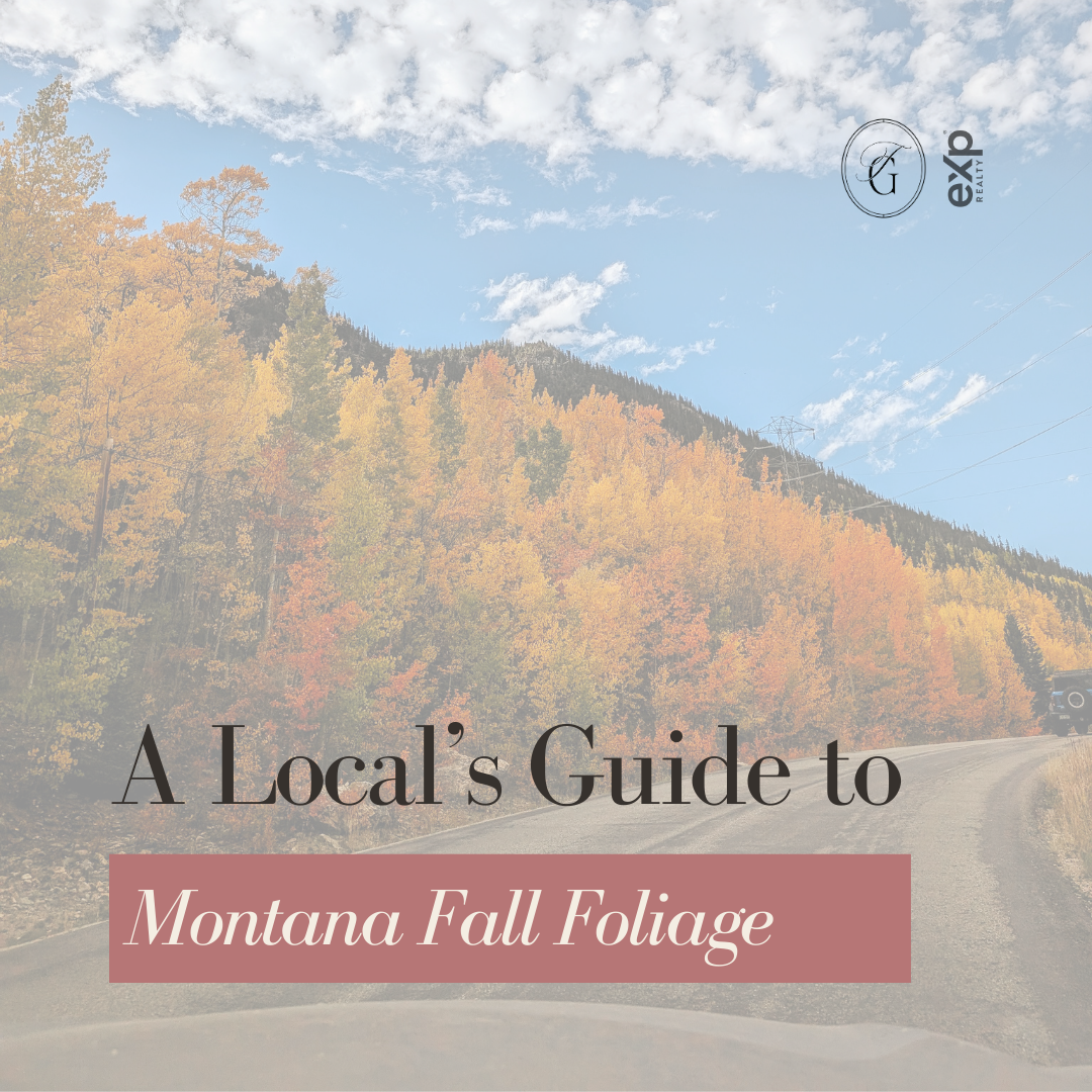 A Local’s Guide to Montana Fall Foliage&nbsp;