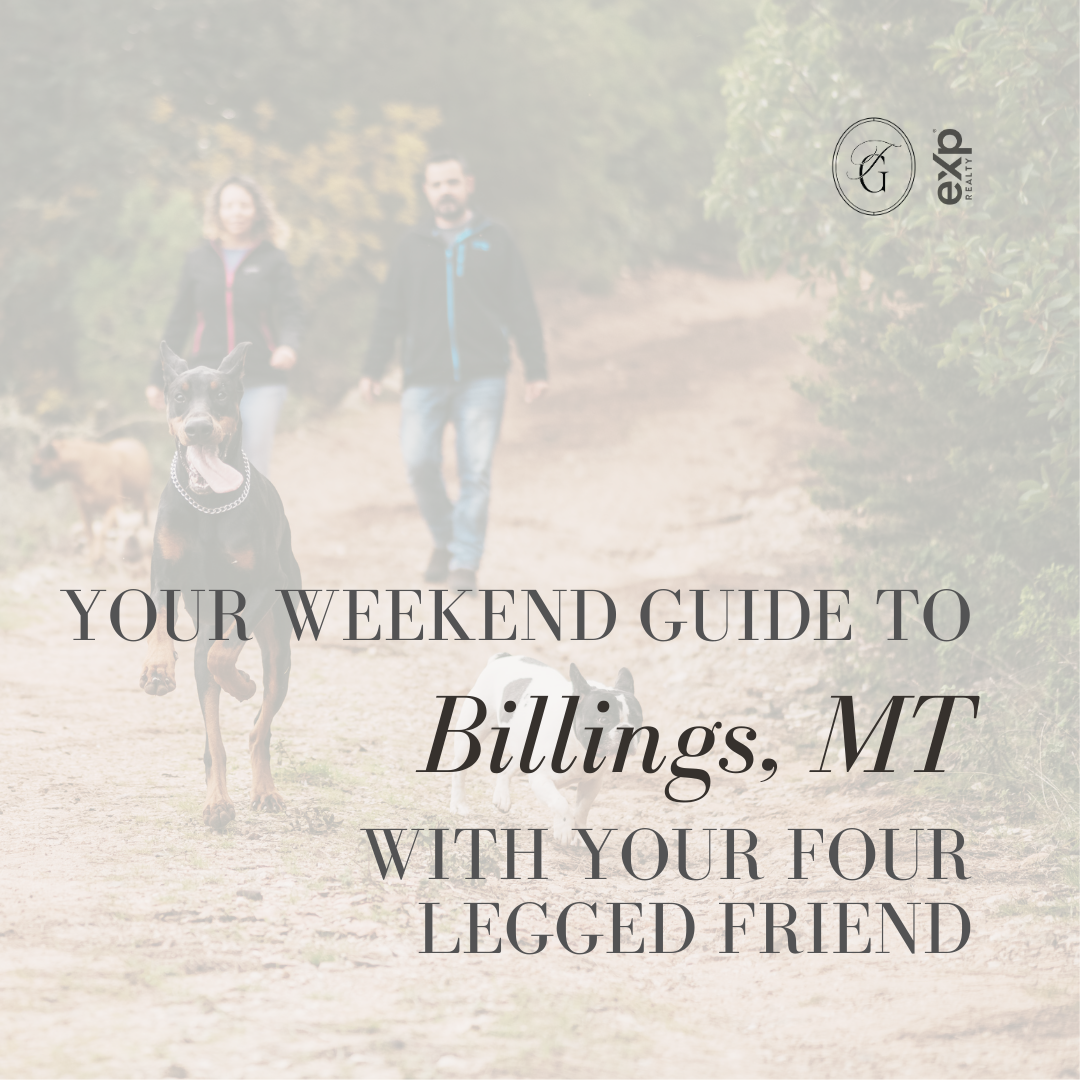 Your Weekend Guide to Billings With Your Four Legged Friend