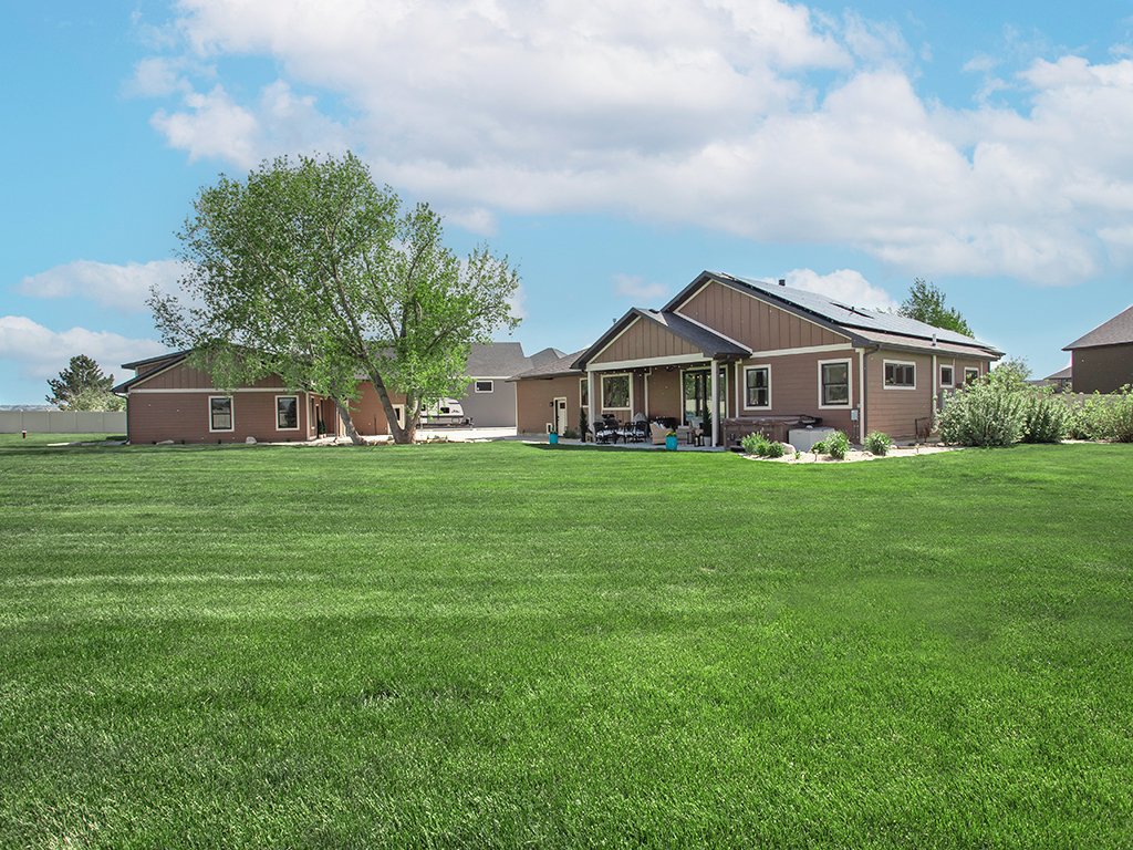 yard 4 .jpg
