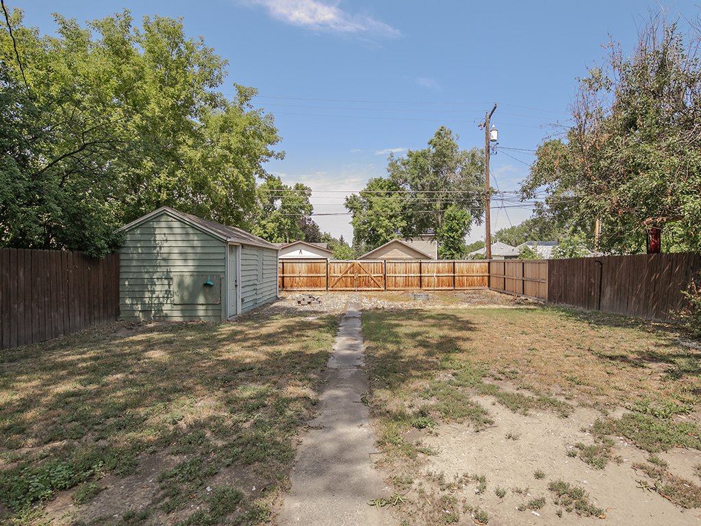yard.jpg