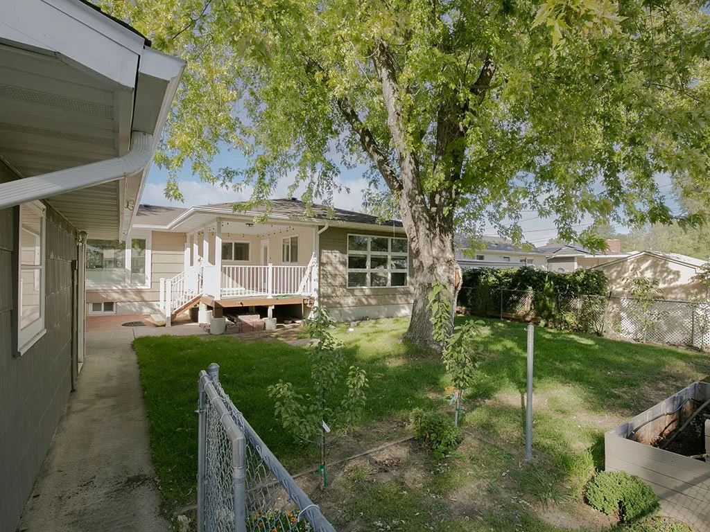 yard .jpg