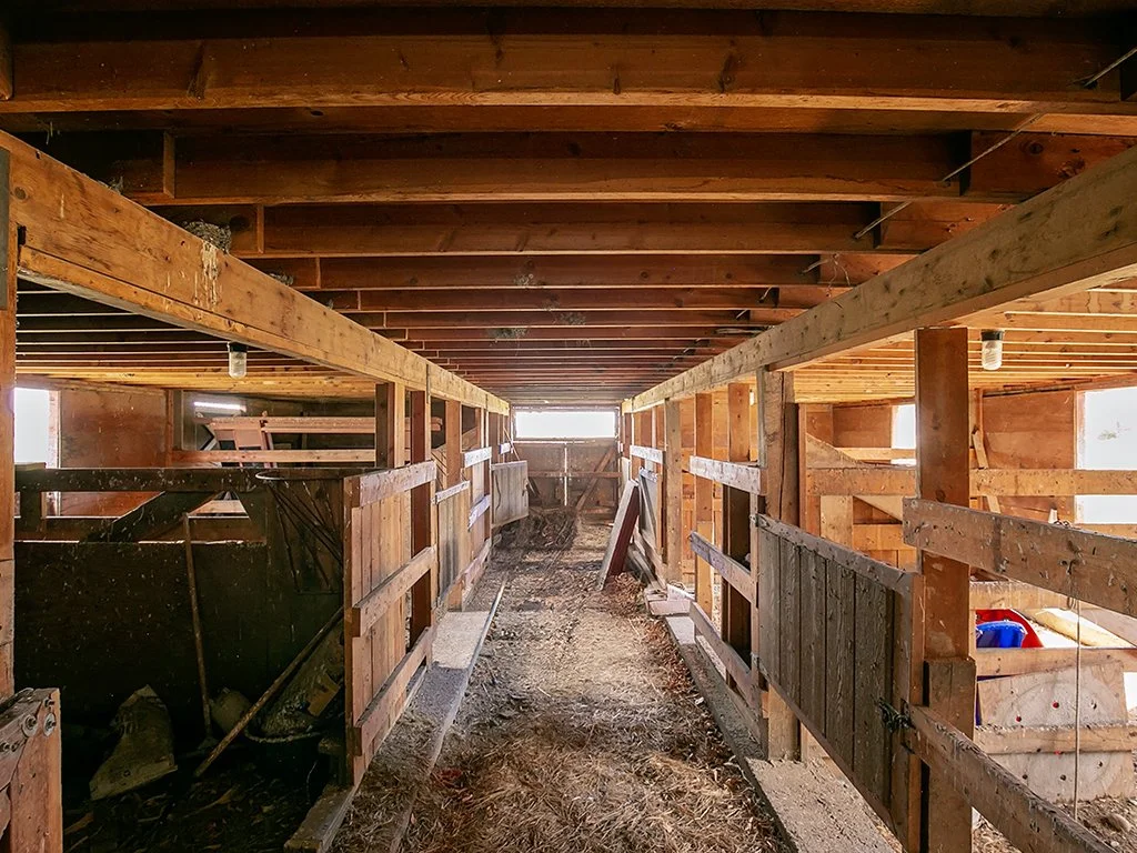 barn 3 .jpg