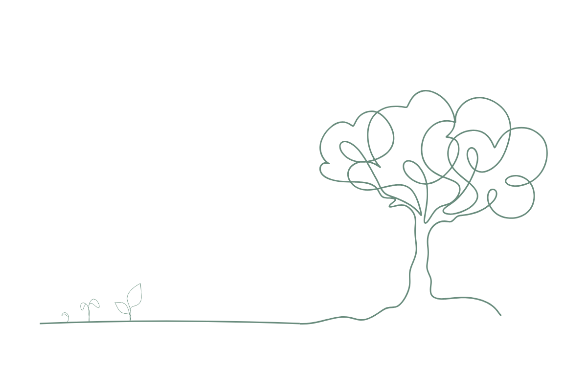 How leaders can create a culture of learning and resilience