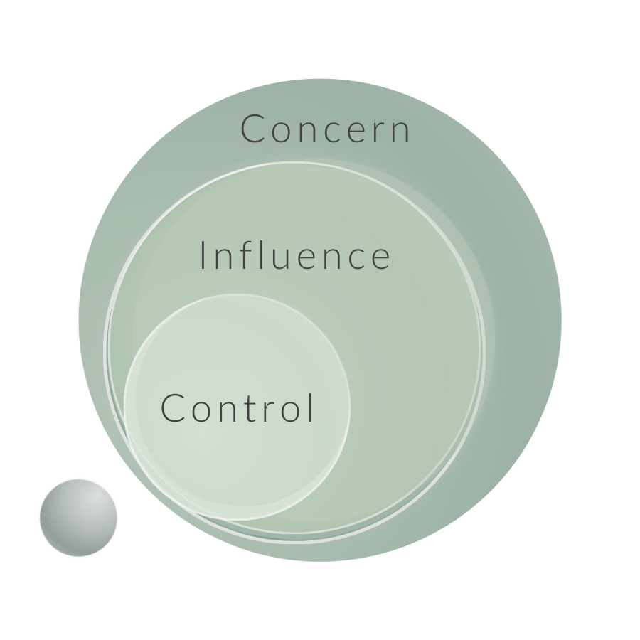 Picture showing the circle of control, influence and concern