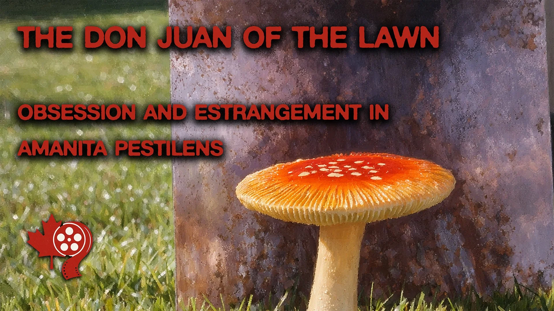 NL_08_Don Juan.jpg