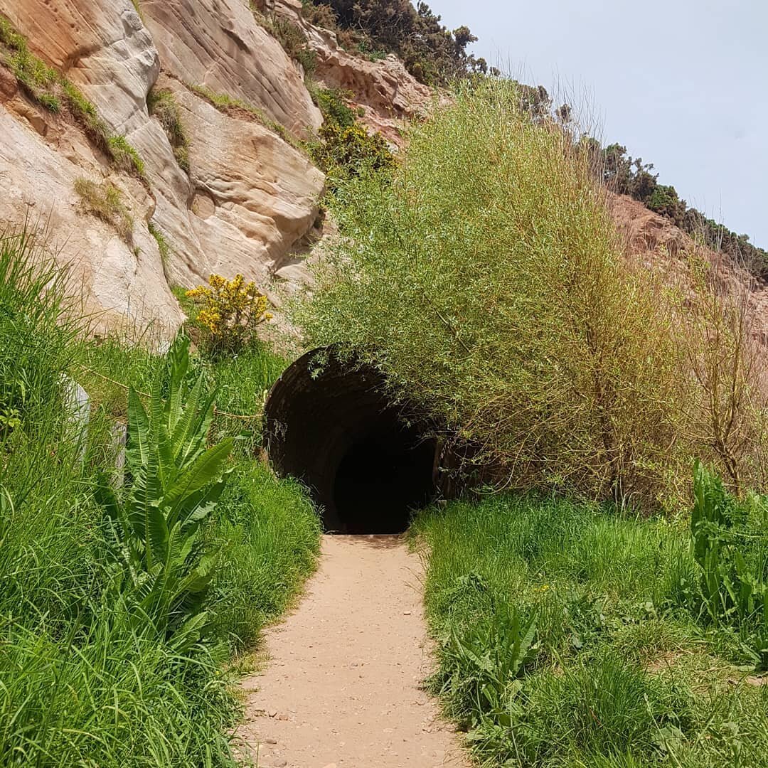 Who'd have thought that through this tunnel there would be a magical little harbour....

Travel north from Eyemouth up to Cove. Park at the small car park and head down on foot.