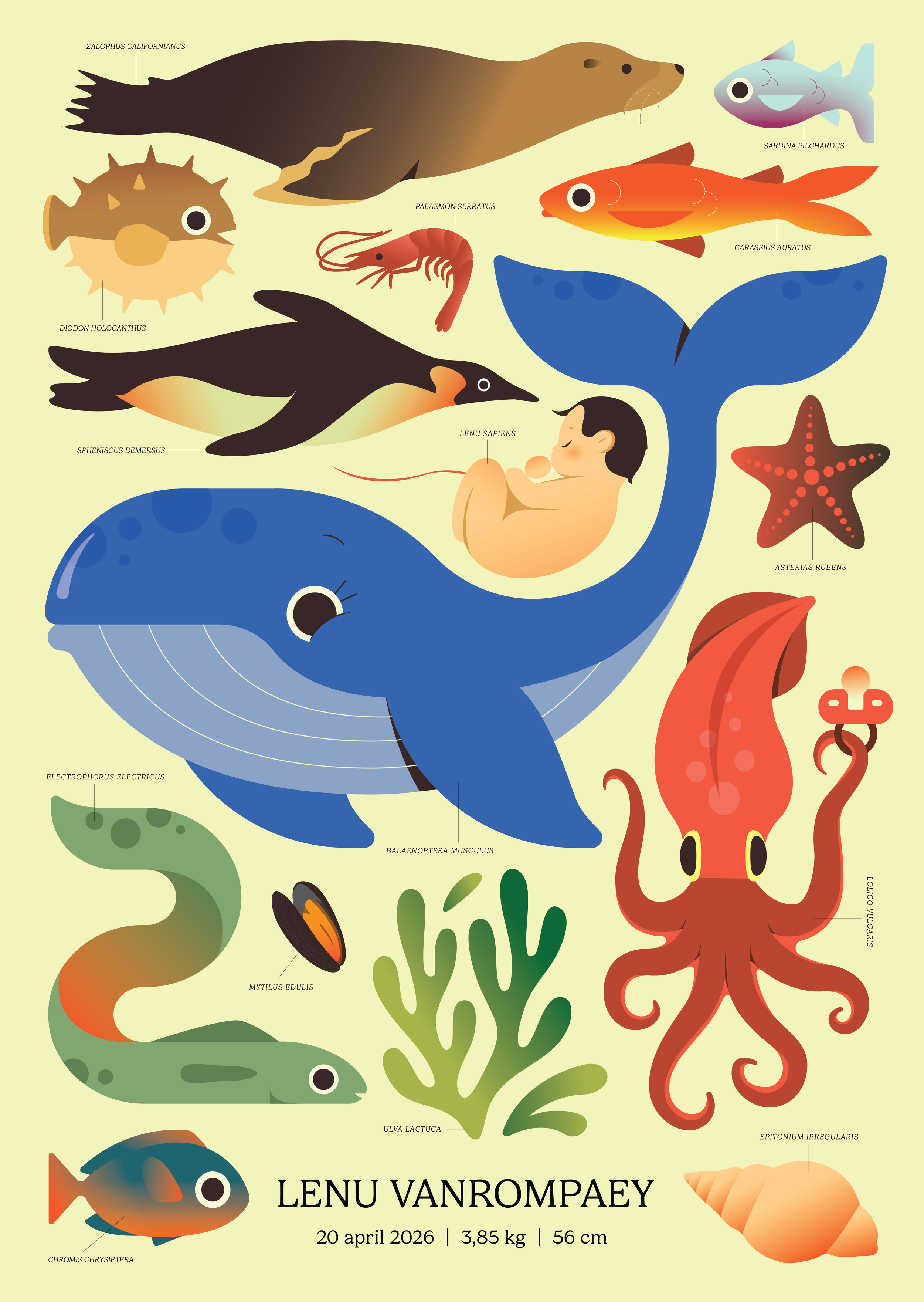 Cards and posters for Lenu