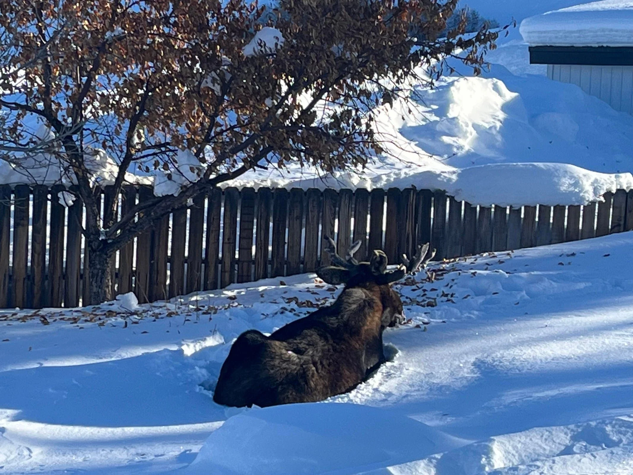 206 Nez Perce Circle Stephanie Reed Real Estate