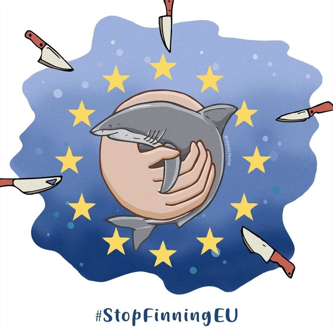 Calling all EU citizens!⁠
Europeans have a once in a lifetime chance to end the shark fin trade in the EU! 1 million votes are needed! Join the team at @stopfinningeu and go to stop-finning-eu.org (linked in our bio).⁠
Artwork by @vegan.frank.⁠
#Stop