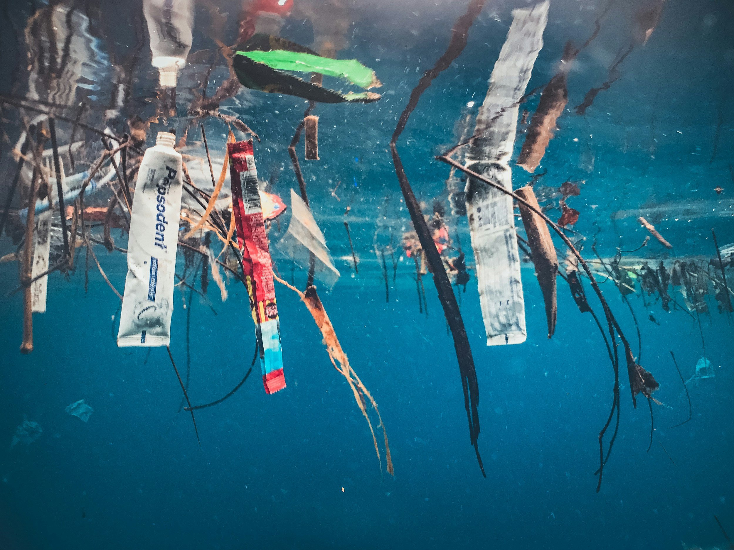 Sustainable Swaps: Plastic-Free Toothpaste