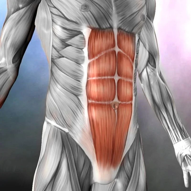 Top 3 Myths About the Core — Strength for Yoga