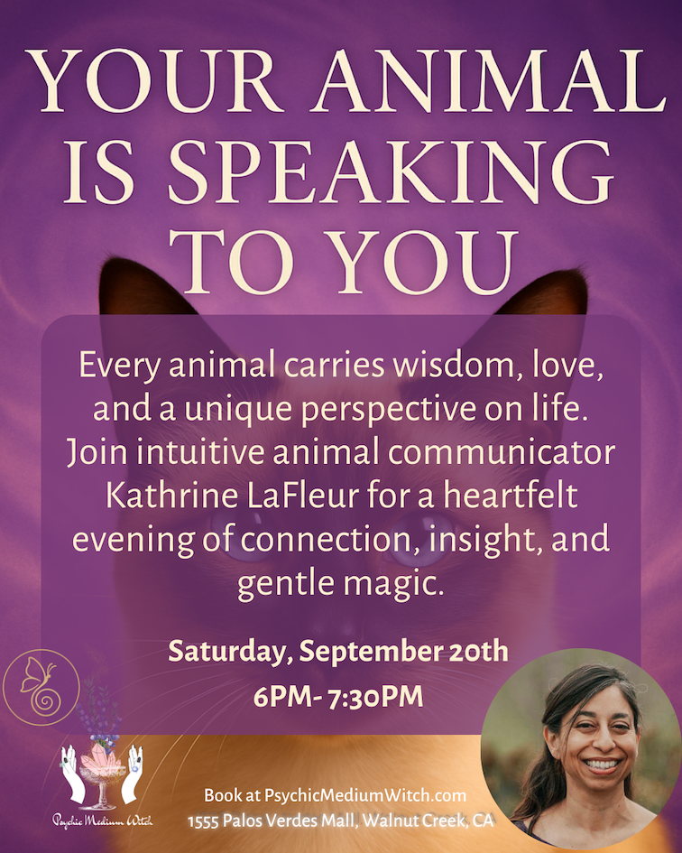 Your Animal Is Speaking to You