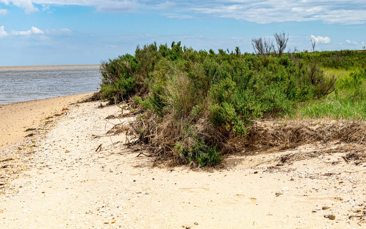 Trying to find the closest sandy beach to London at the glow-in-the-dark Bradwell-on-Sea