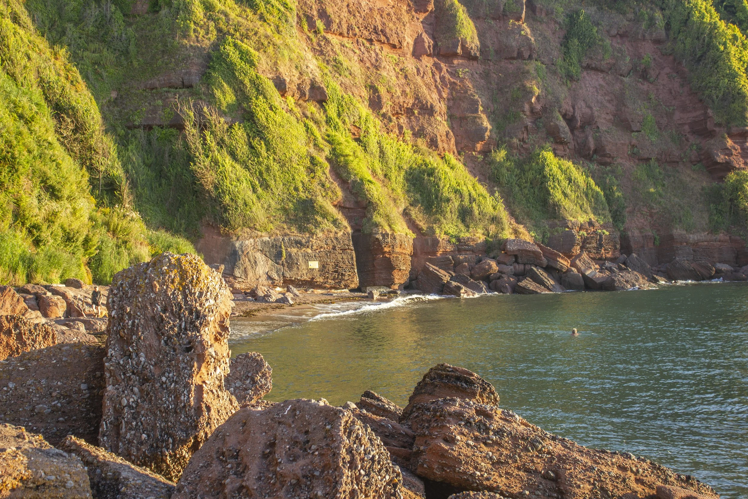 Maidencombe is the best beach in Devon you’ve never been to