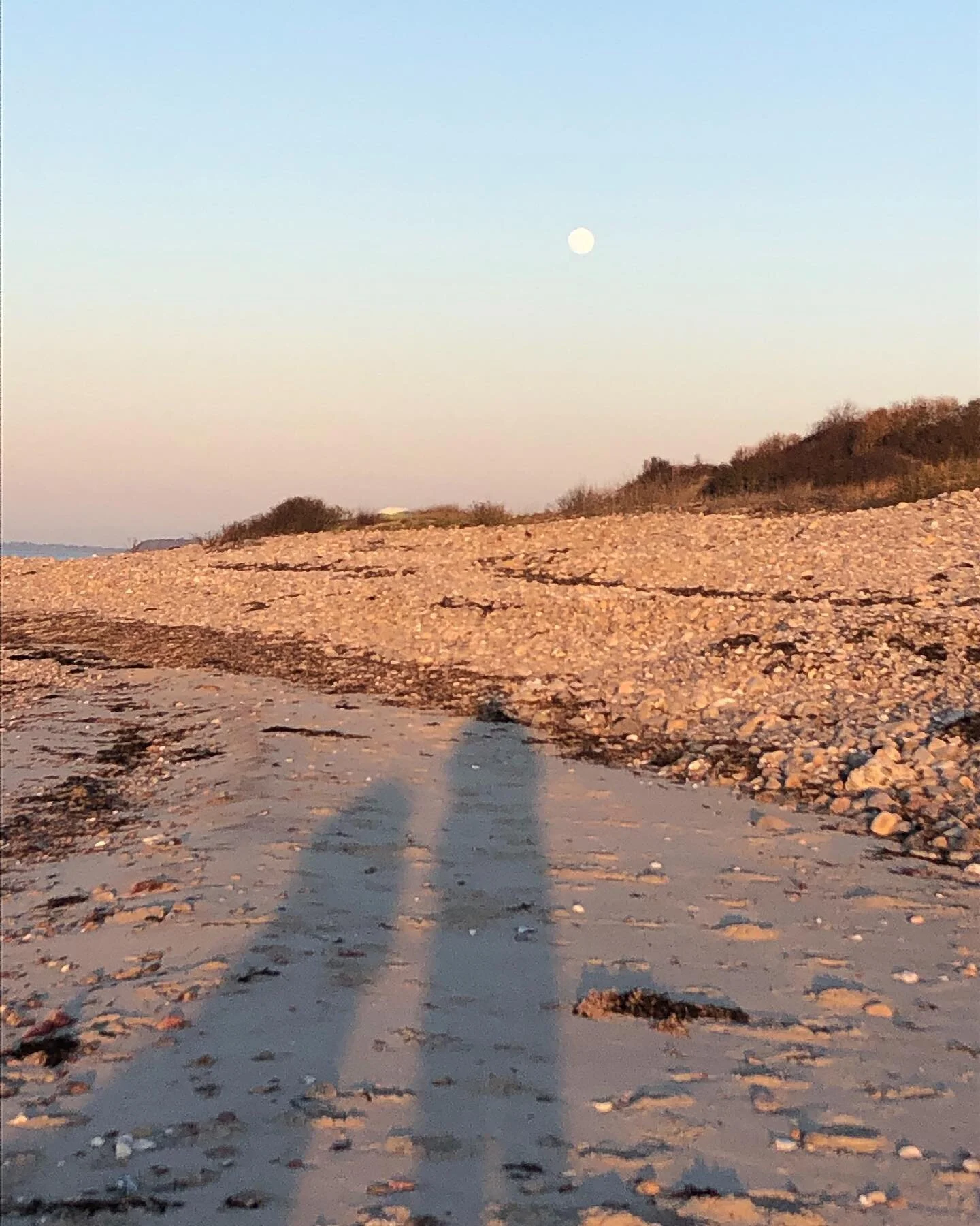 Los argentinos mediaslunas 
los chinos, mooncakes
Y el pez Sol que no se alune
cuando calienta el sol 
aquí en la playa 
o lo mismo 
aquí en la yapla 
(escalopa)
compramos palmeras a 500 
canasto de mimbre 
delantal blanco 
embetunados 
en Rayito d