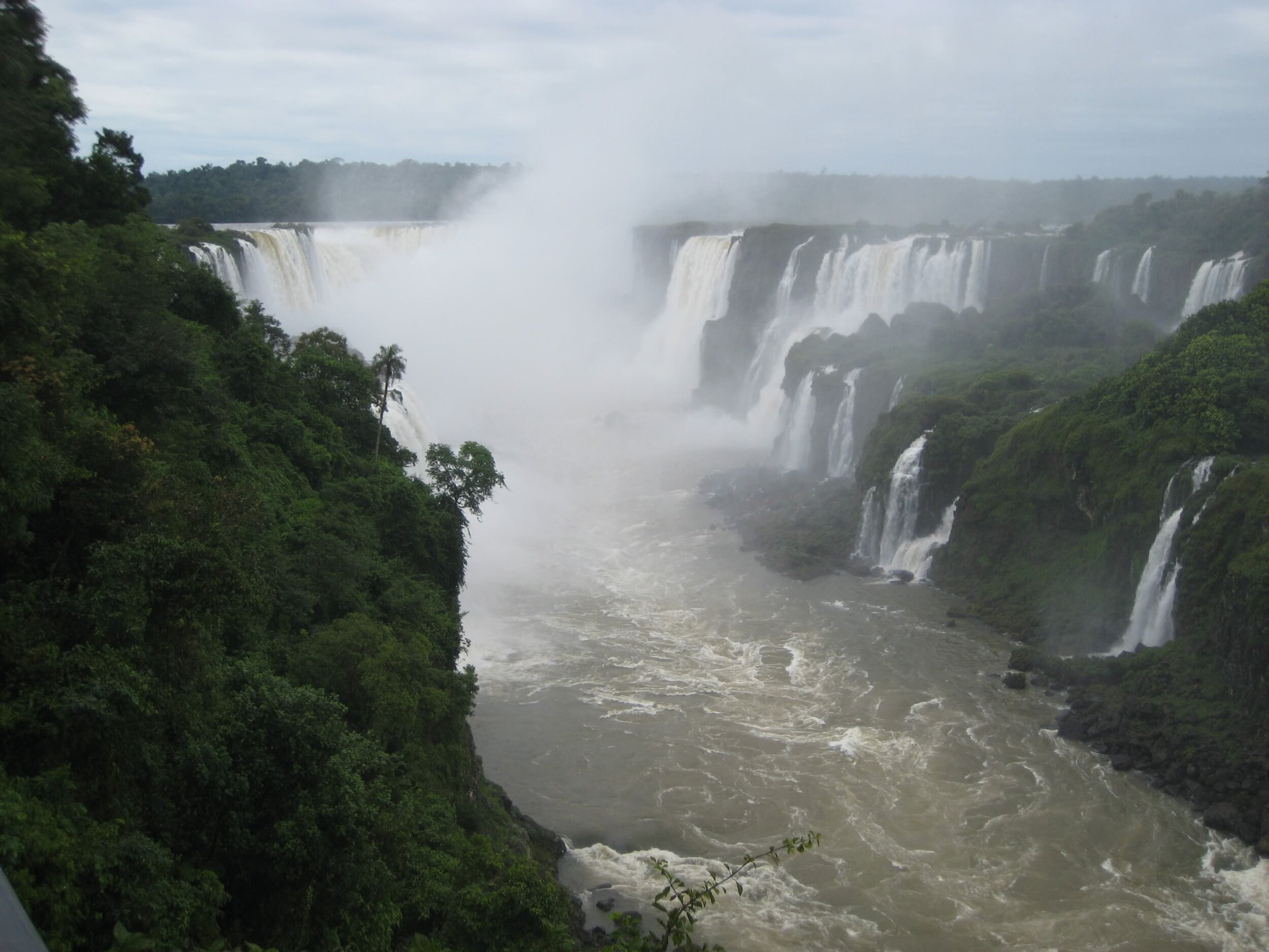 IMG_3270.jpeg