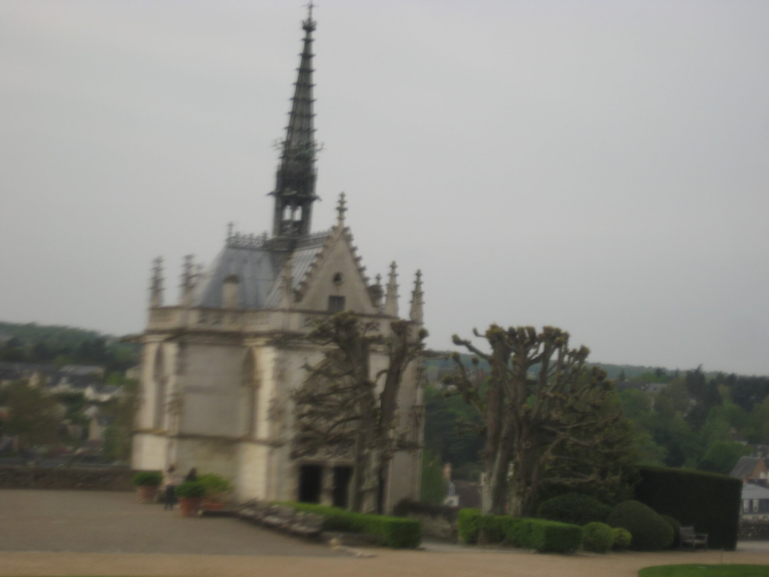 IMG_3712.jpeg