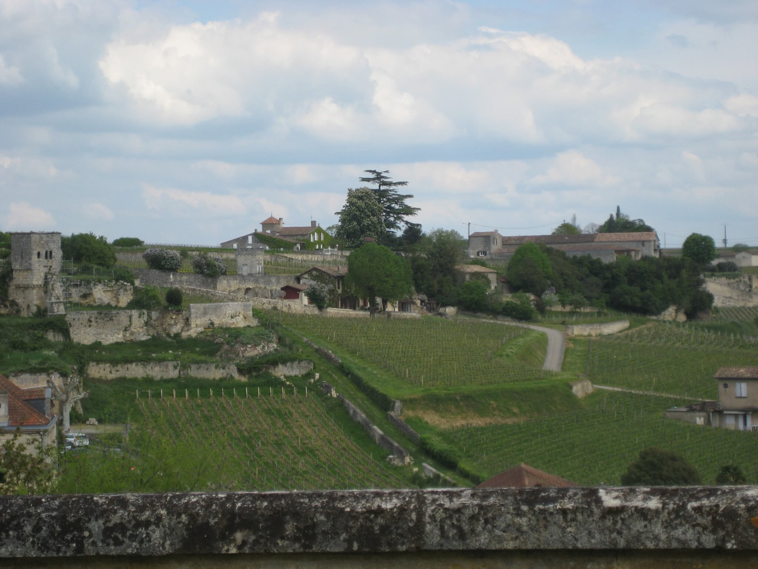 IMG_3786.jpeg