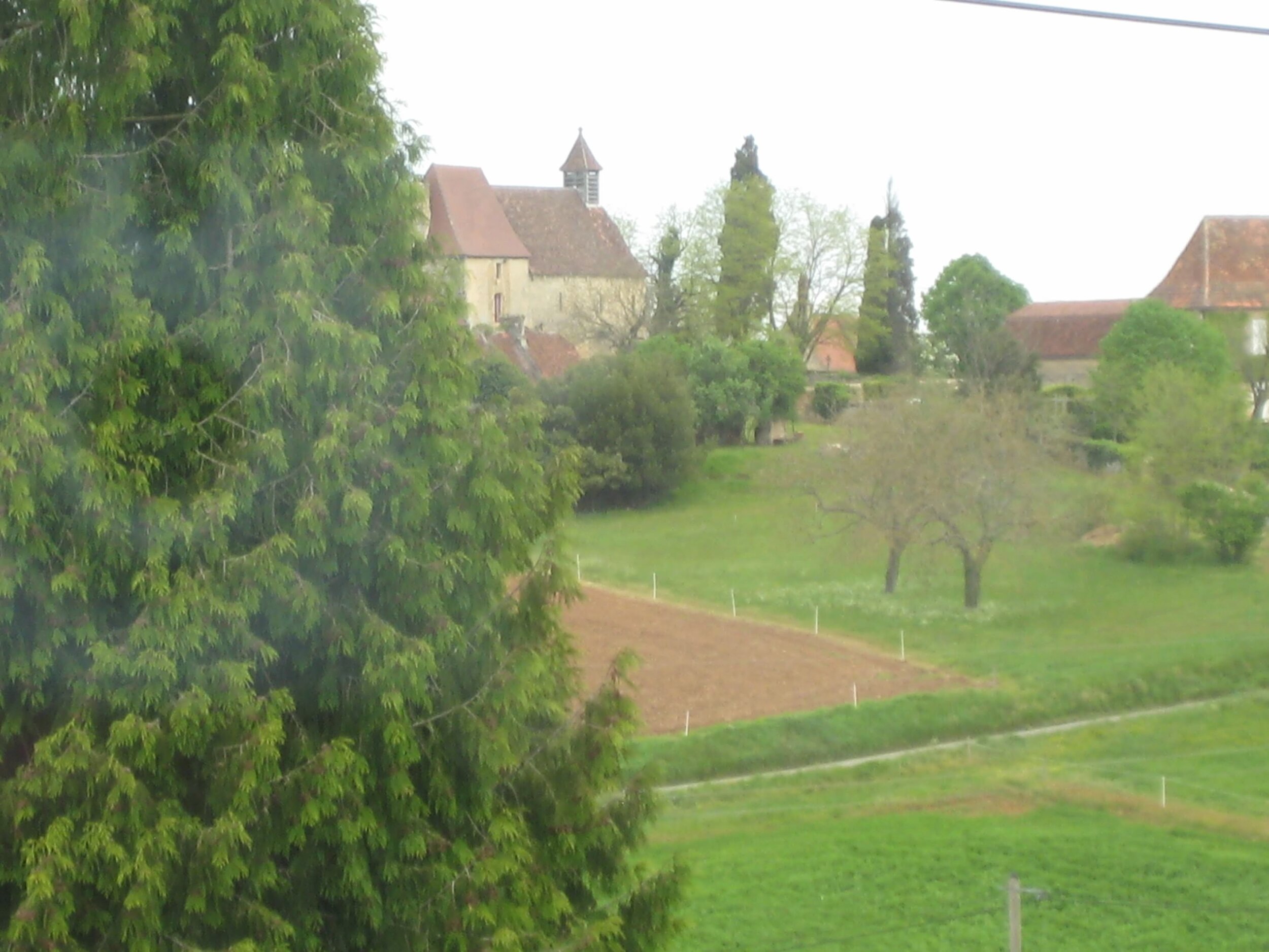 IMG_3831.jpeg