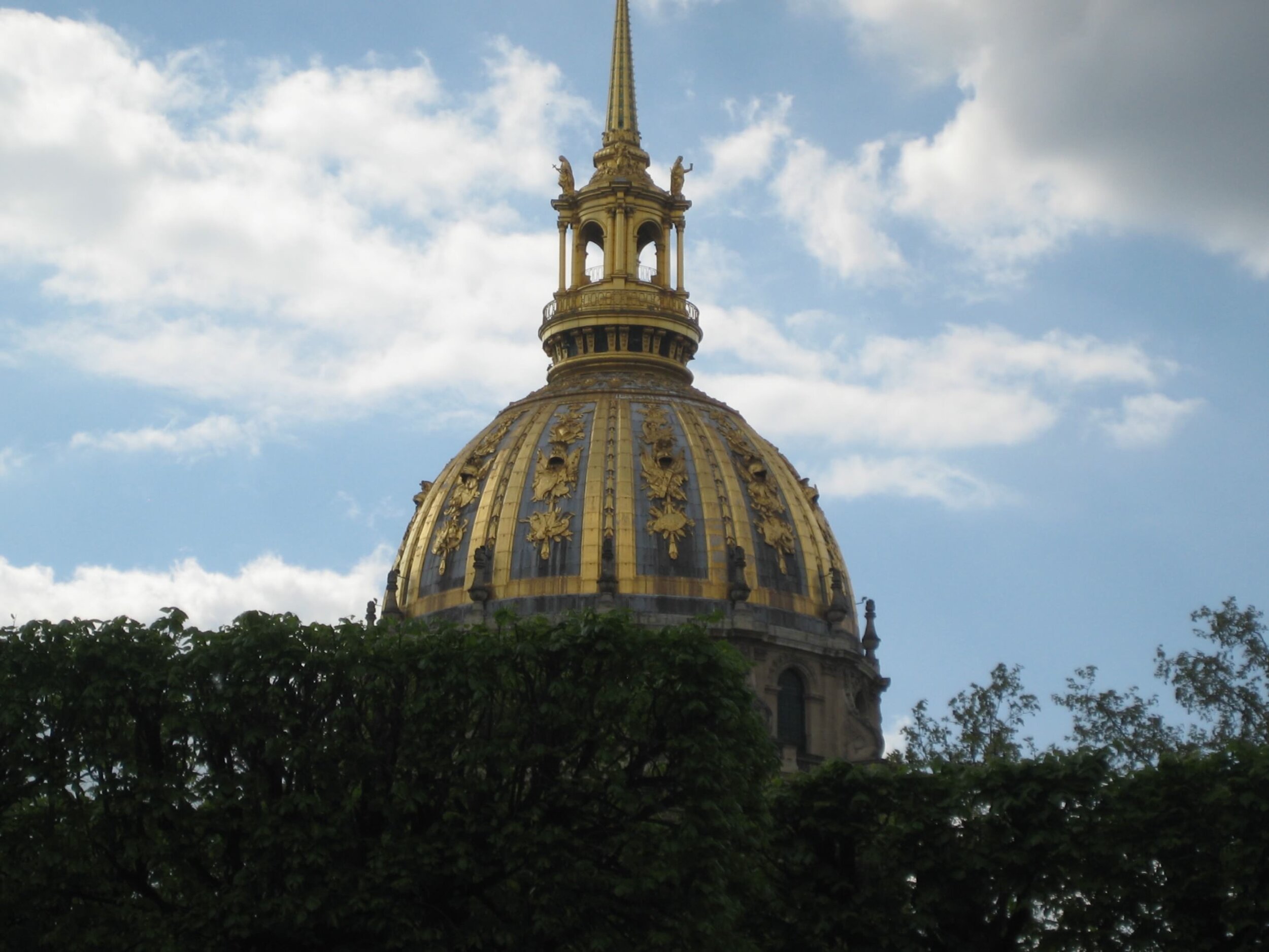 IMG_3955.jpeg
