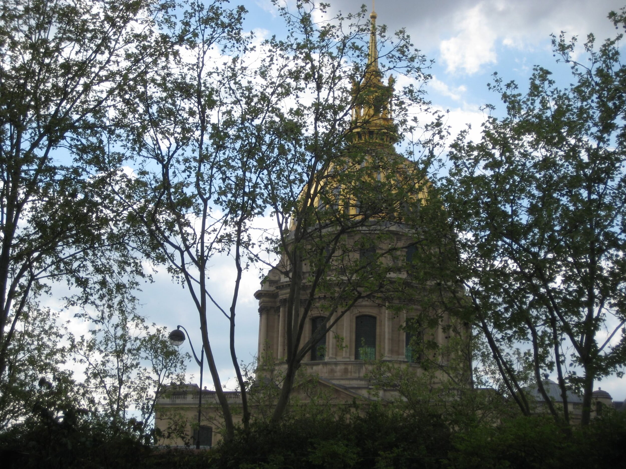 IMG_3952.jpeg