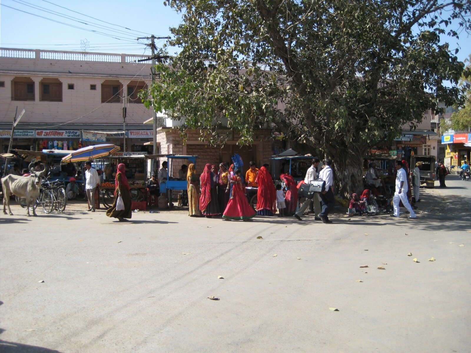 IMG_0161.jpeg