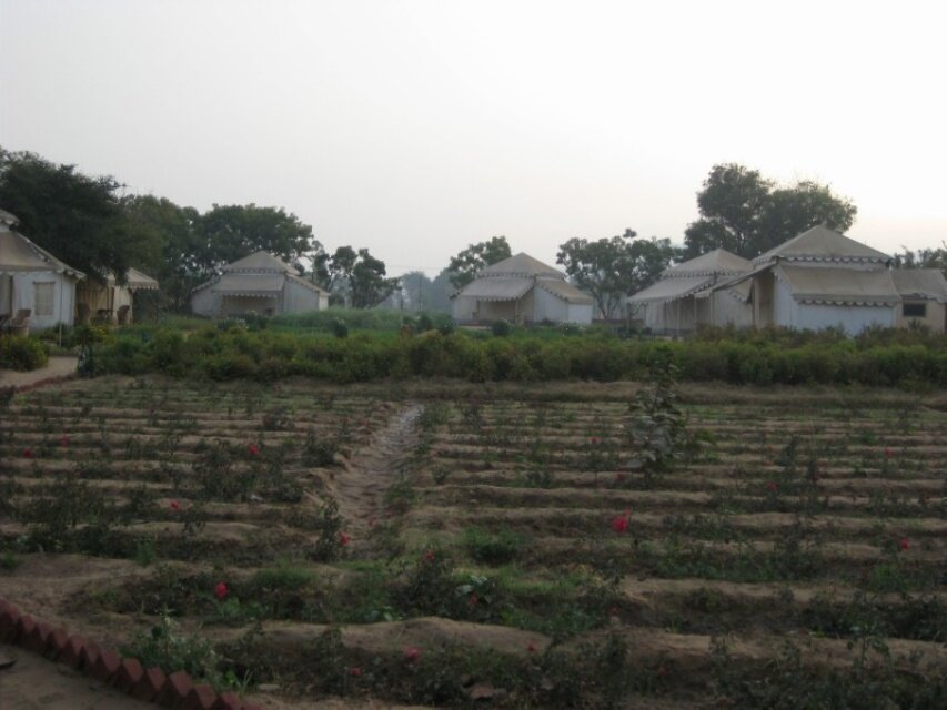 IMG_0165.jpeg