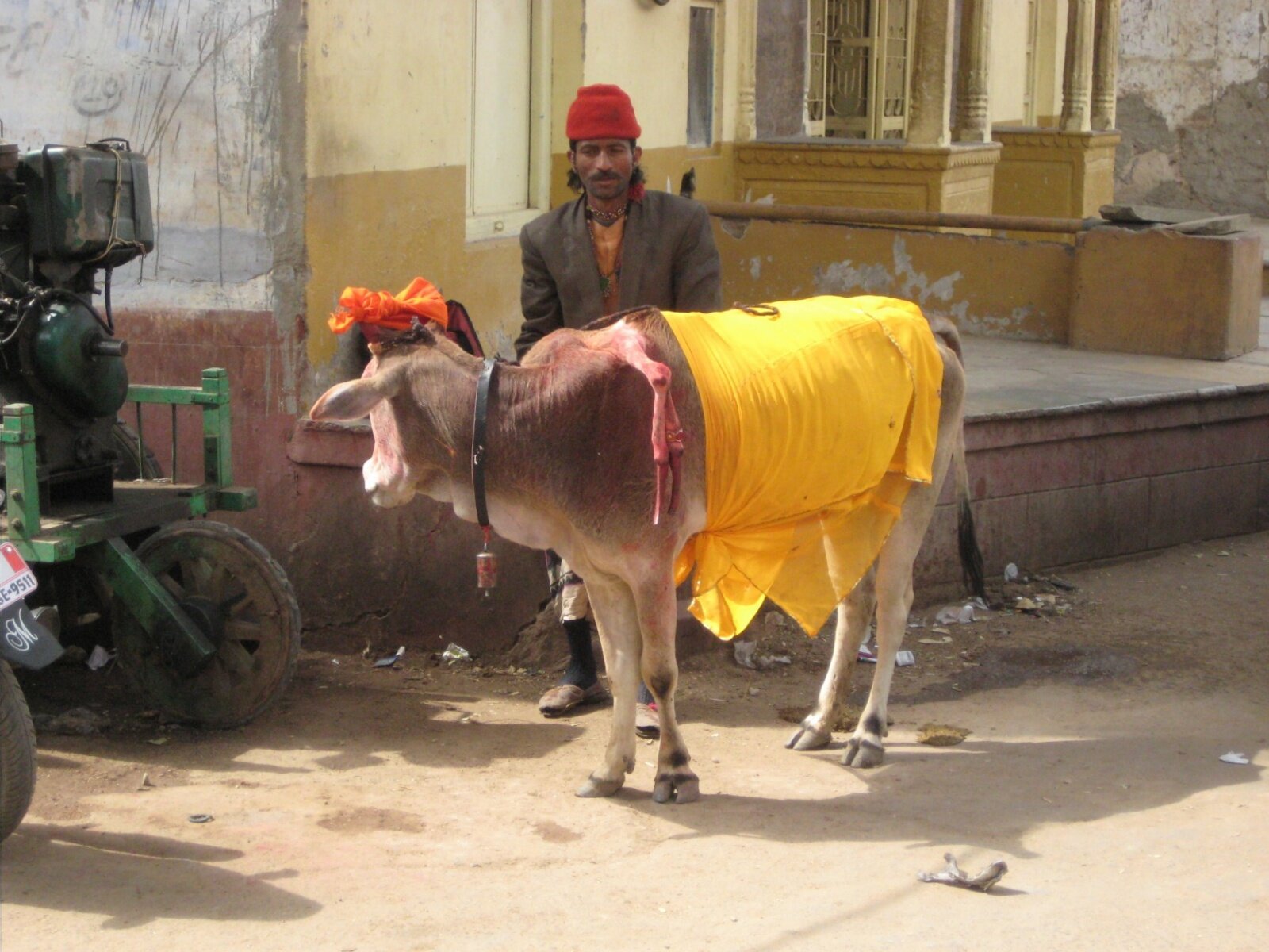 IMG_0204.jpeg