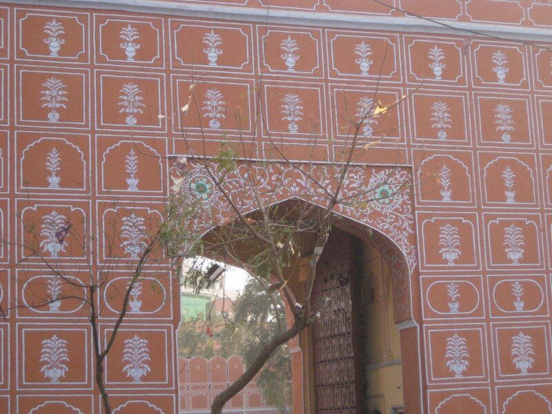 IMG_0236.jpeg