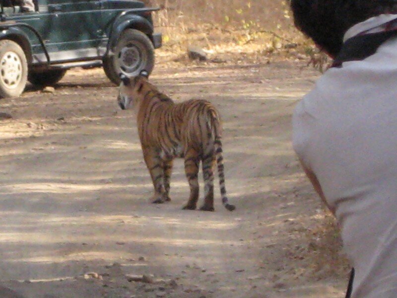 IMG_0303.jpeg
