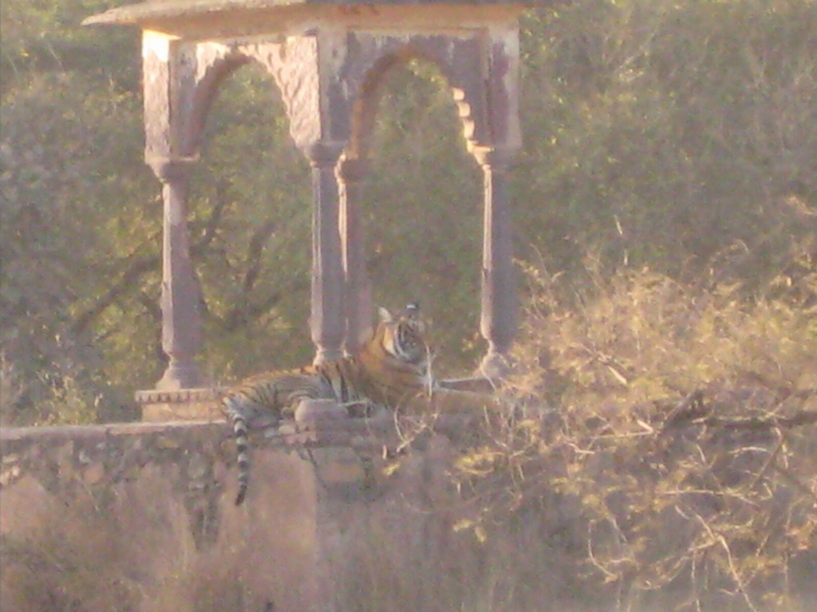 IMG_0362.jpeg