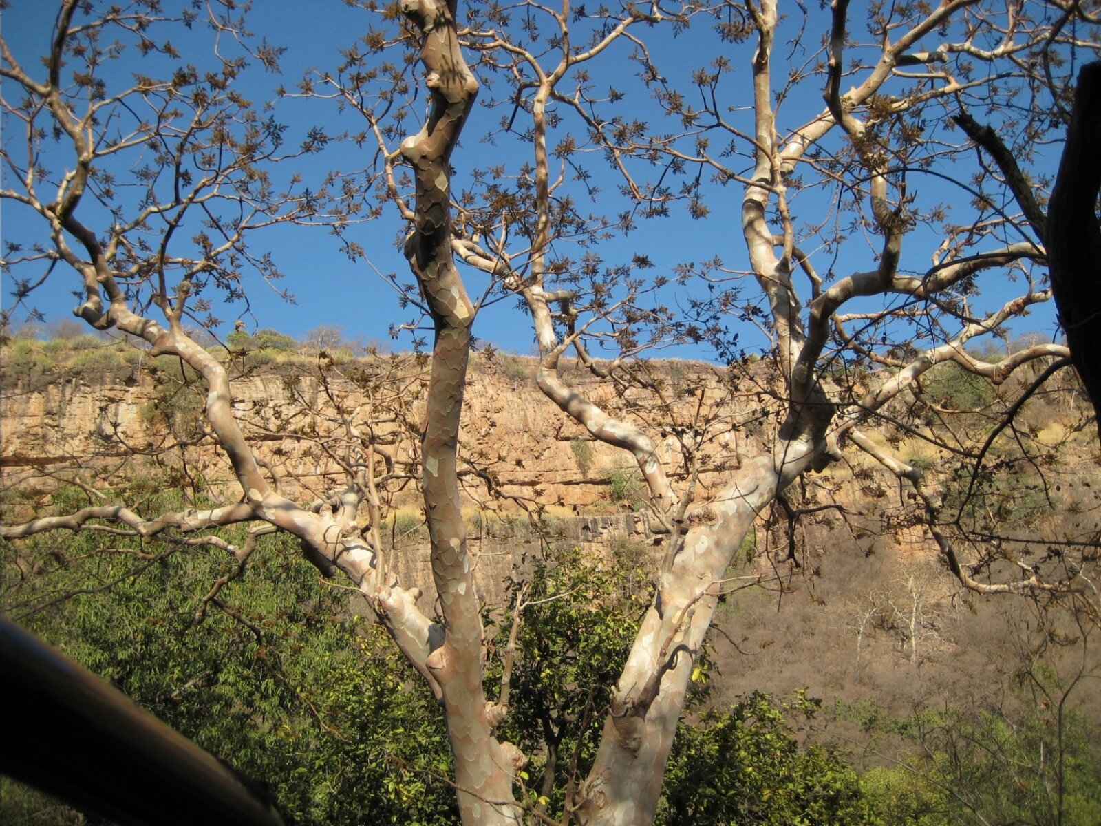 IMG_0434.jpeg