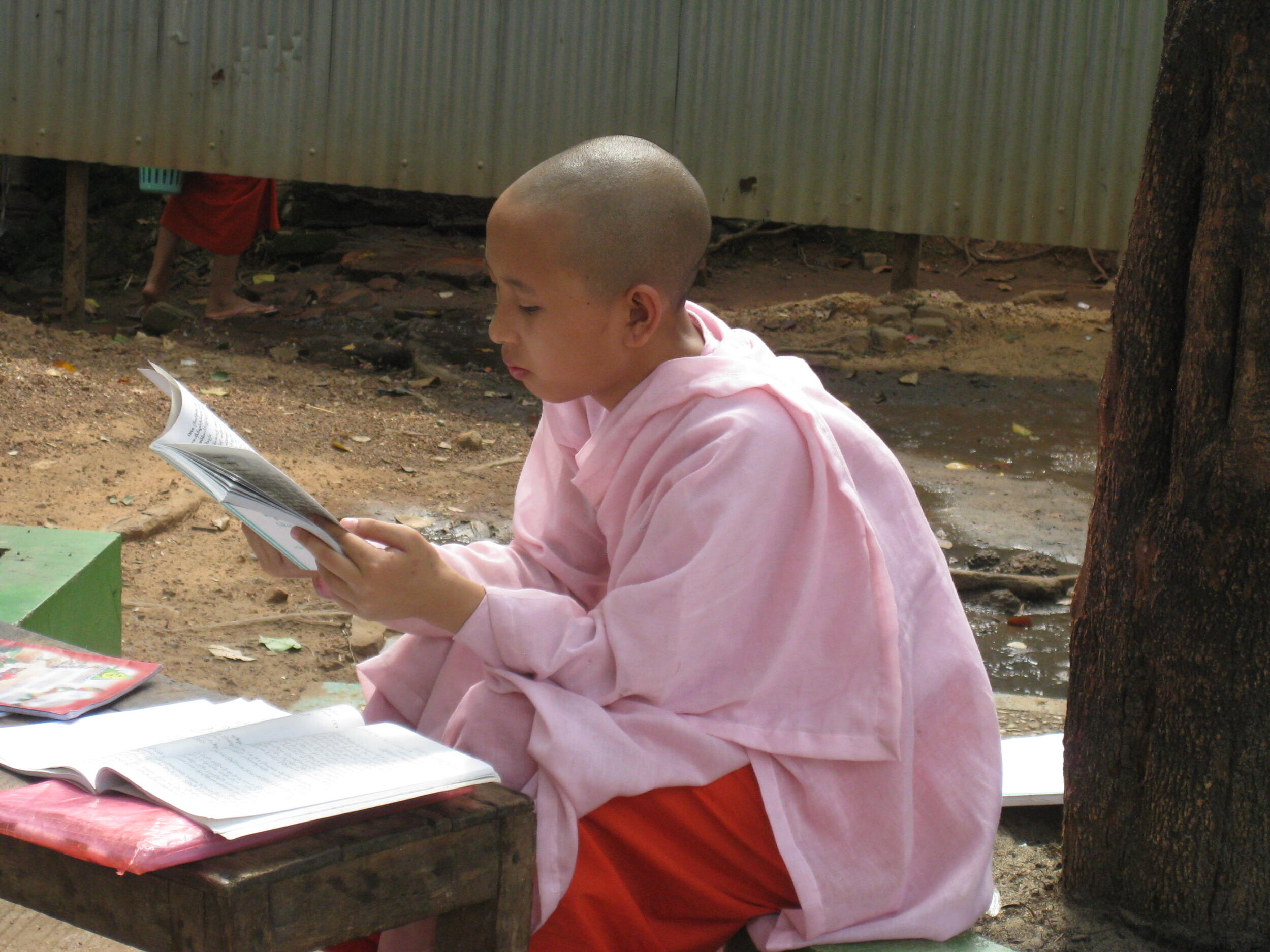 Burma 2014 030.jpeg