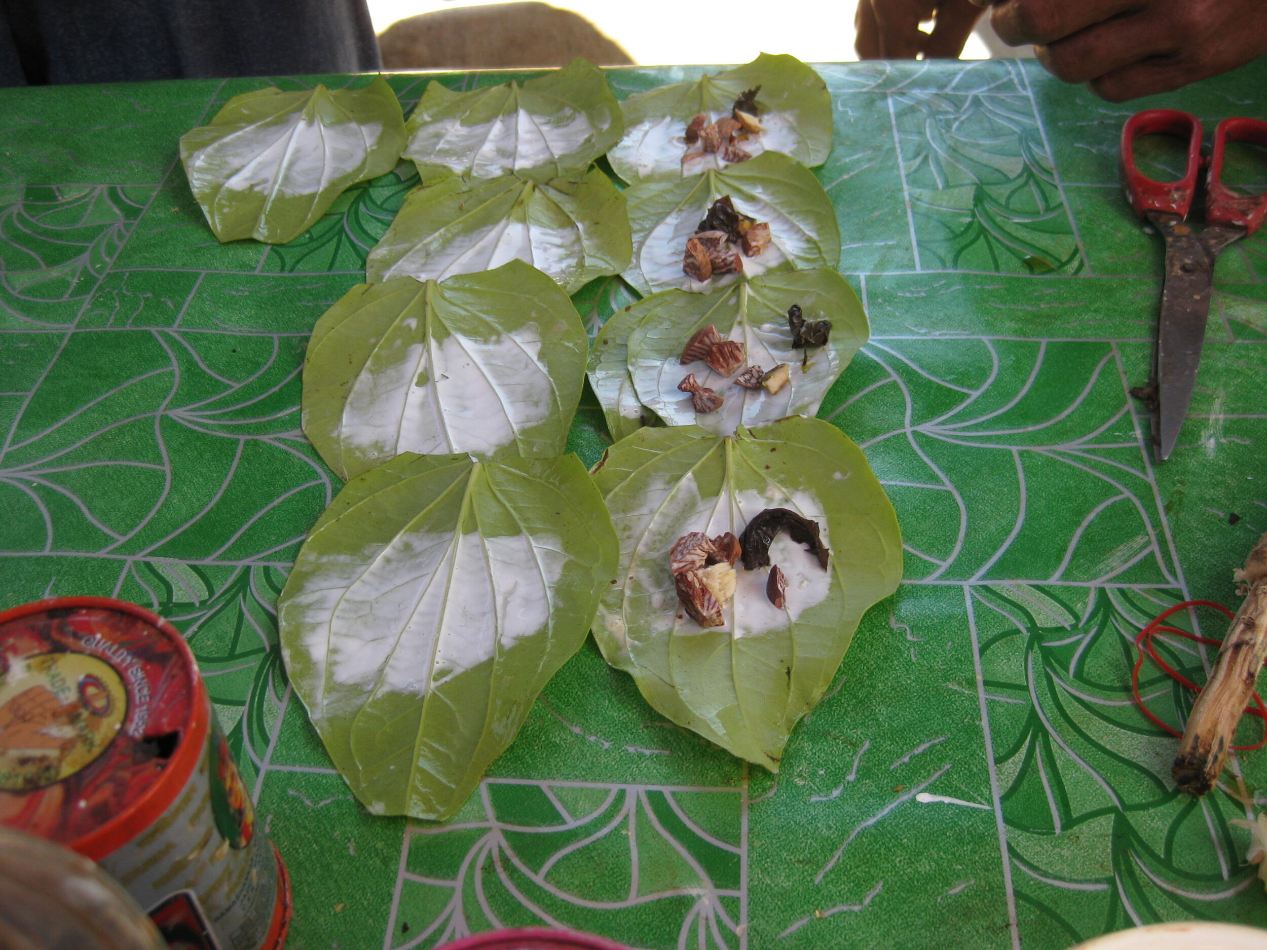 Burma 2014 063.jpeg