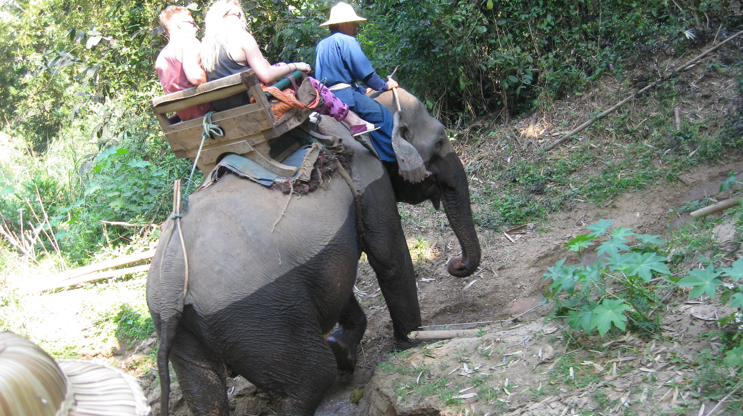Burma 2014 183.jpeg