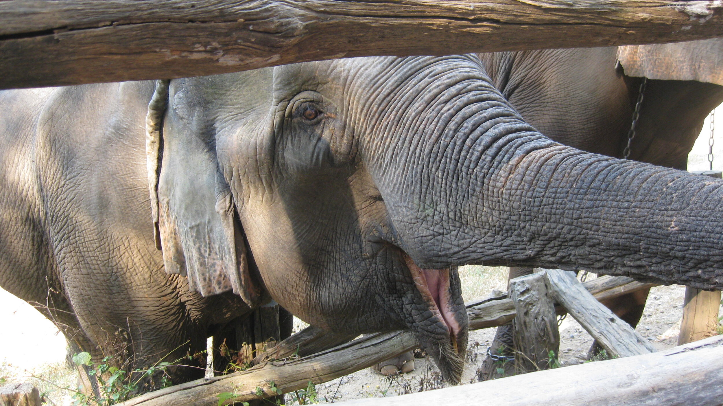 Burma 2014 185.jpeg