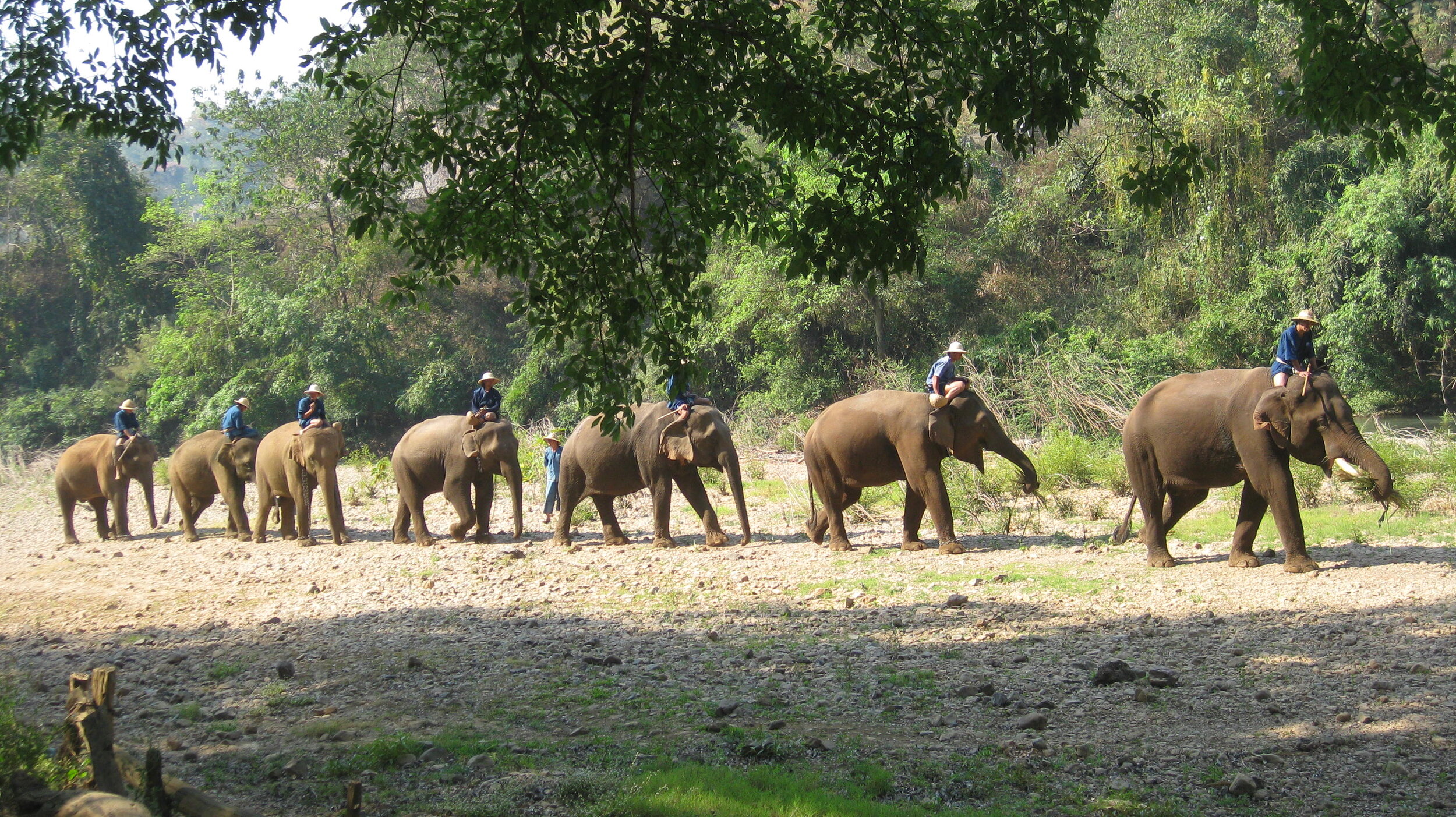 Burma 2014 188.jpeg