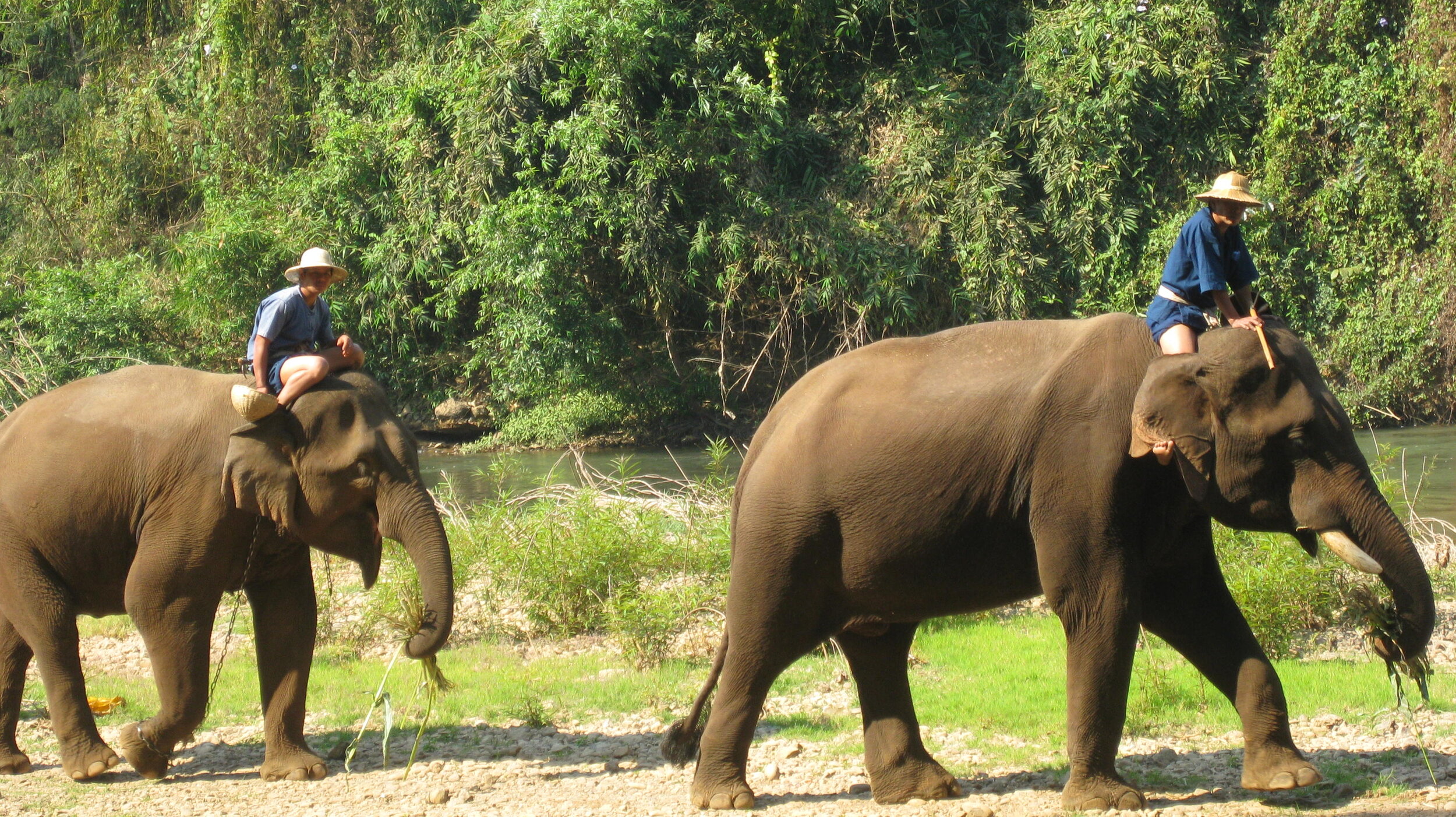 Burma 2014 189.jpeg