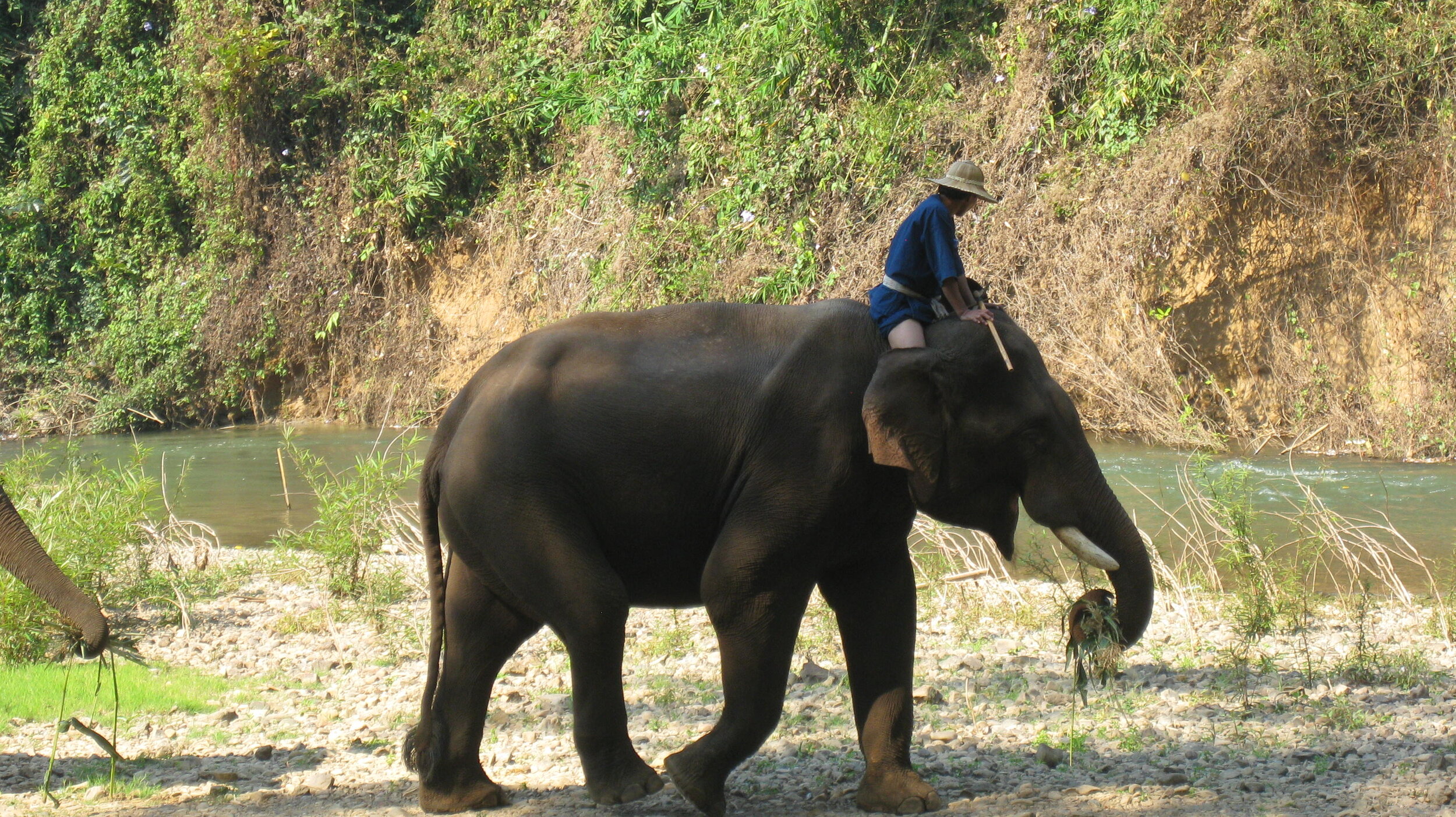Burma 2014 190.jpeg