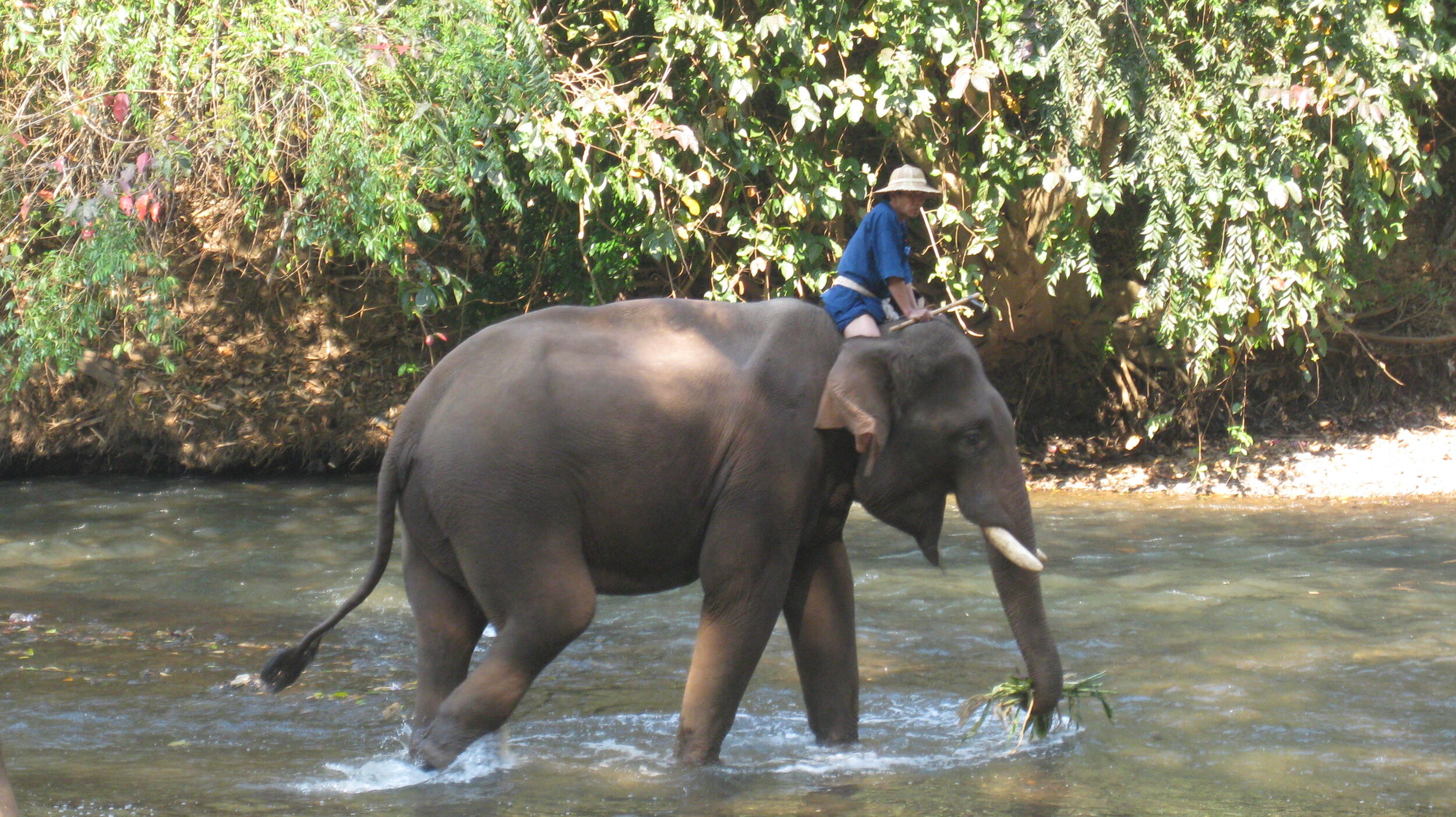 Burma 2014 191.jpeg