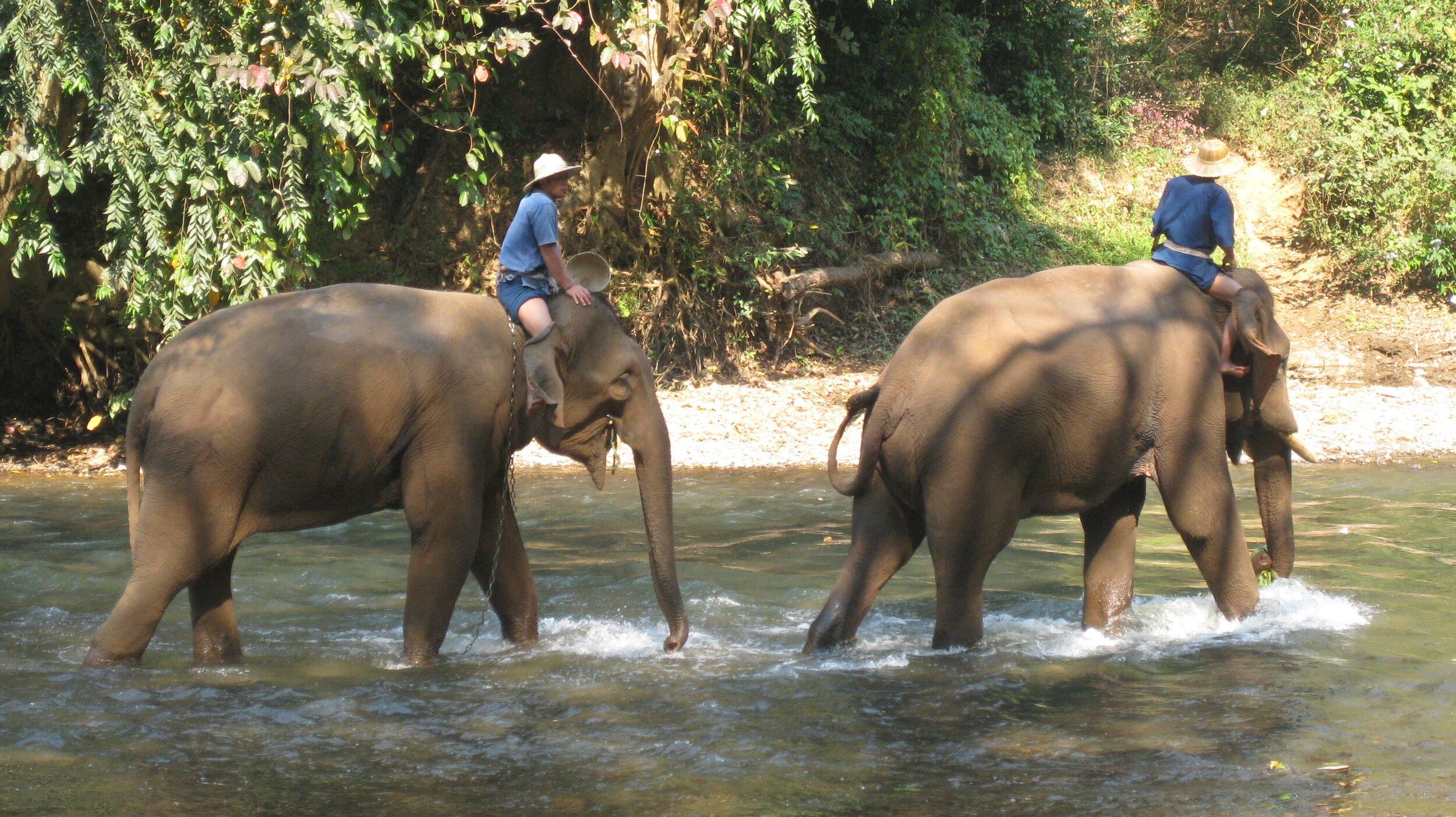 Burma 2014 192.jpeg