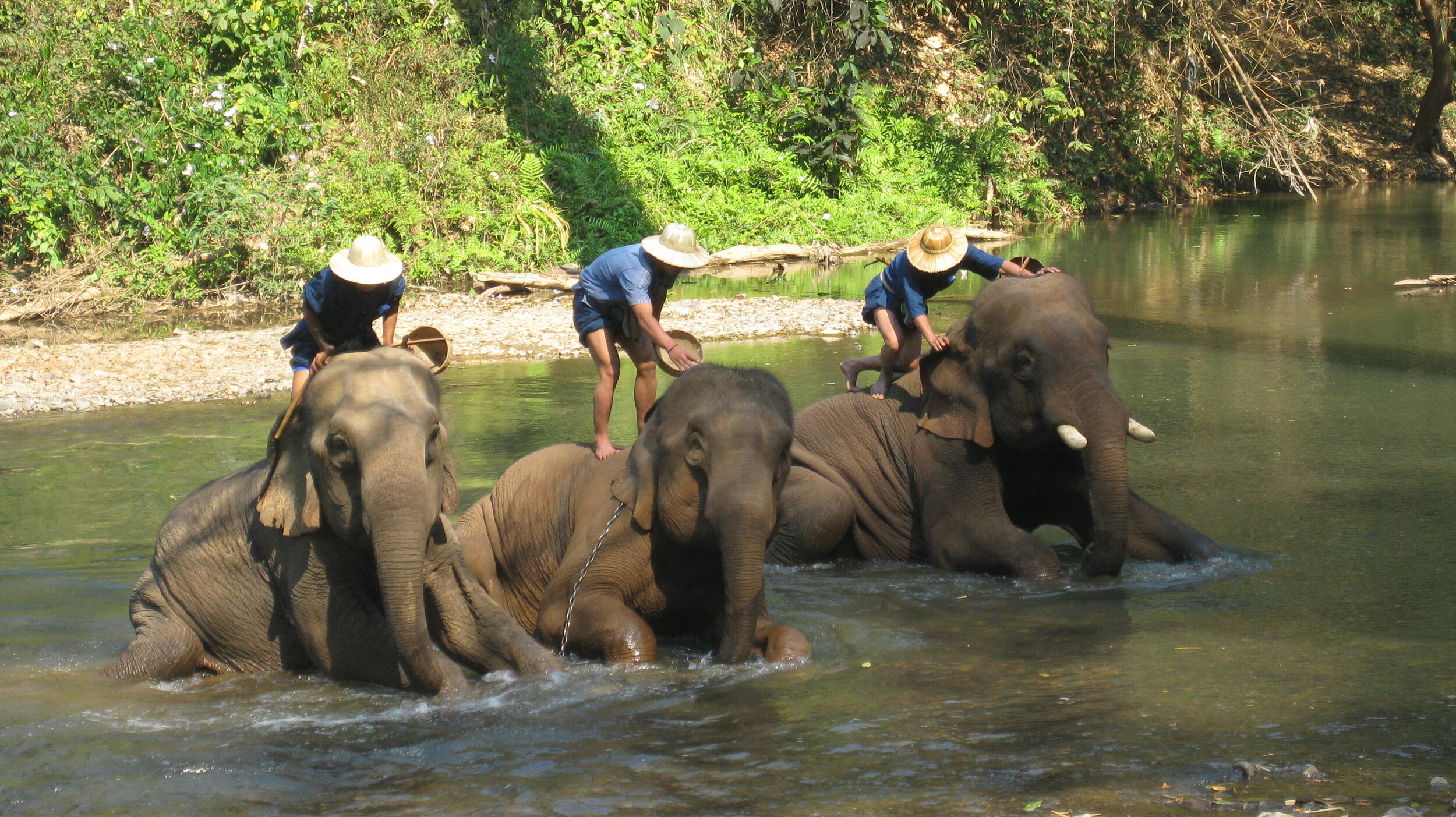 Burma 2014 193.jpeg