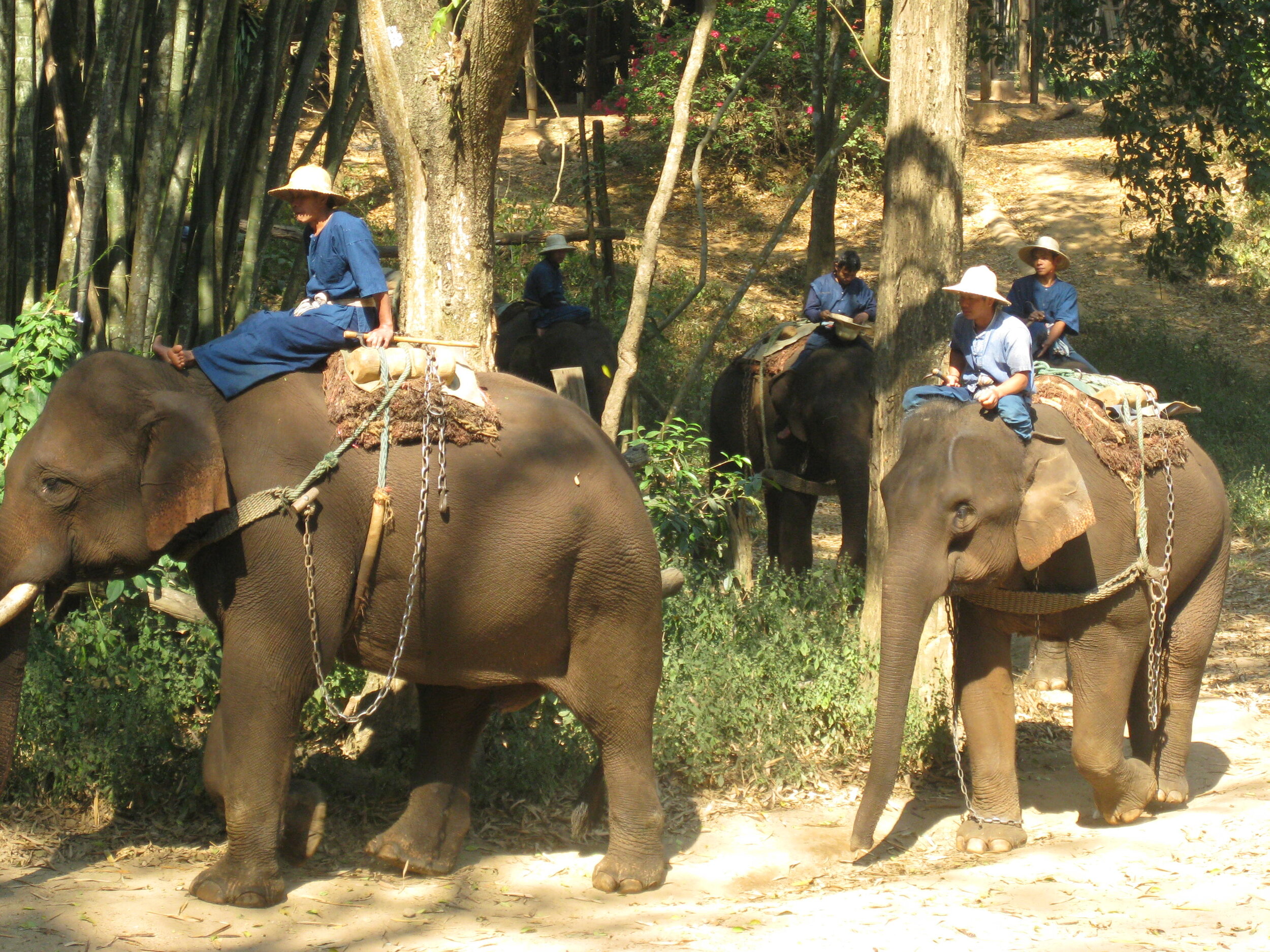 Burma 2014 195.jpeg