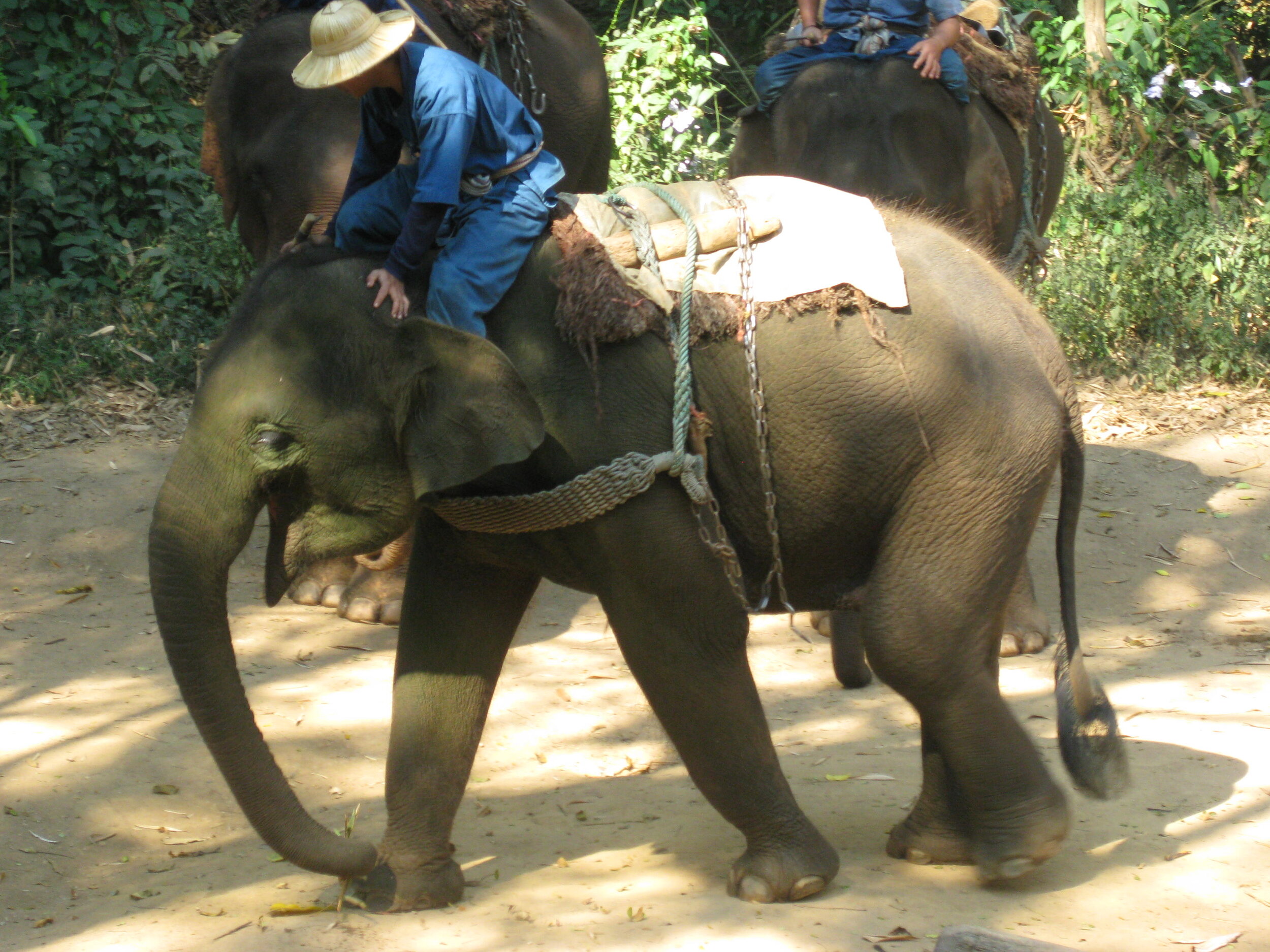 Burma 2014 196.jpeg